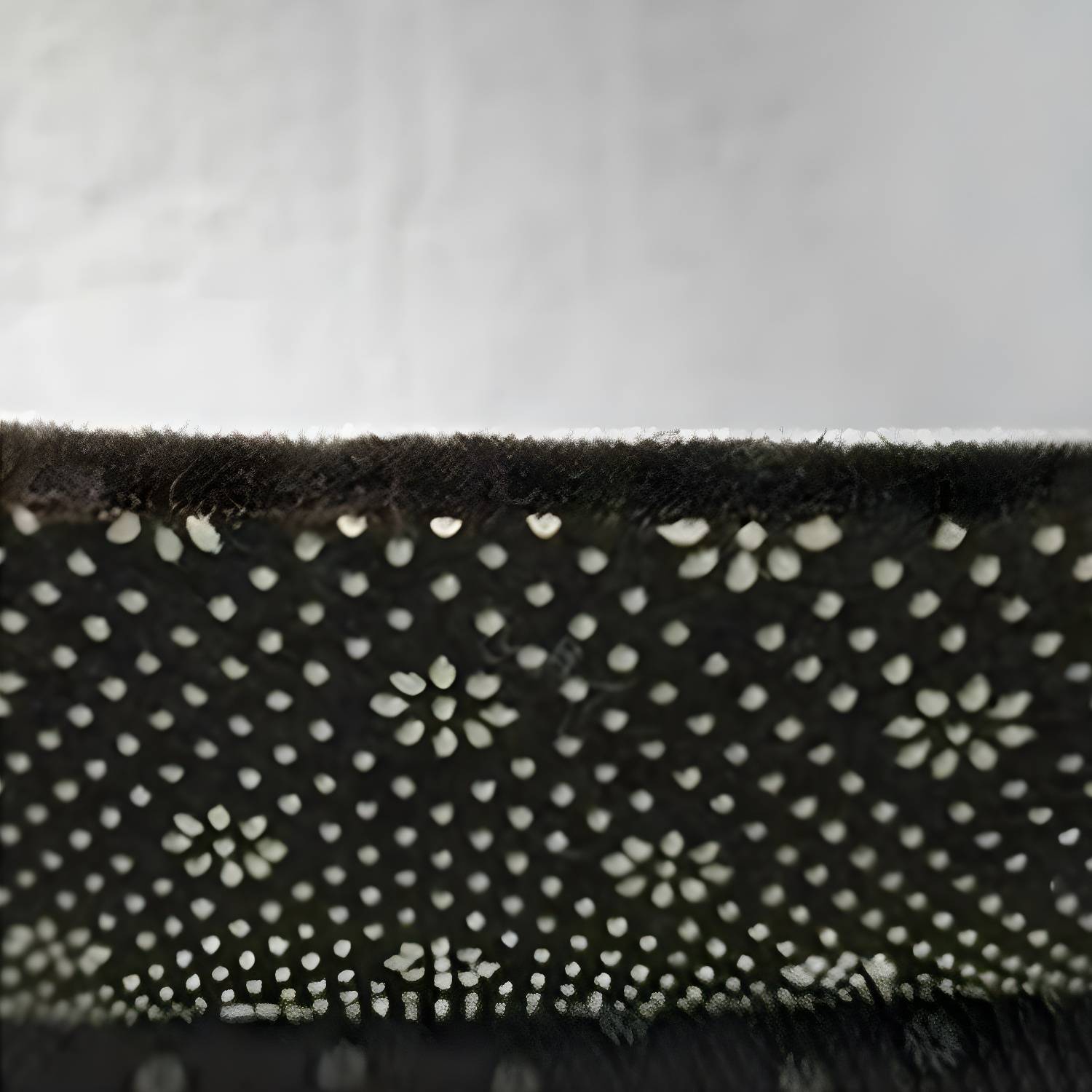 Imported image 8016790bb0c9 3024649.jpg