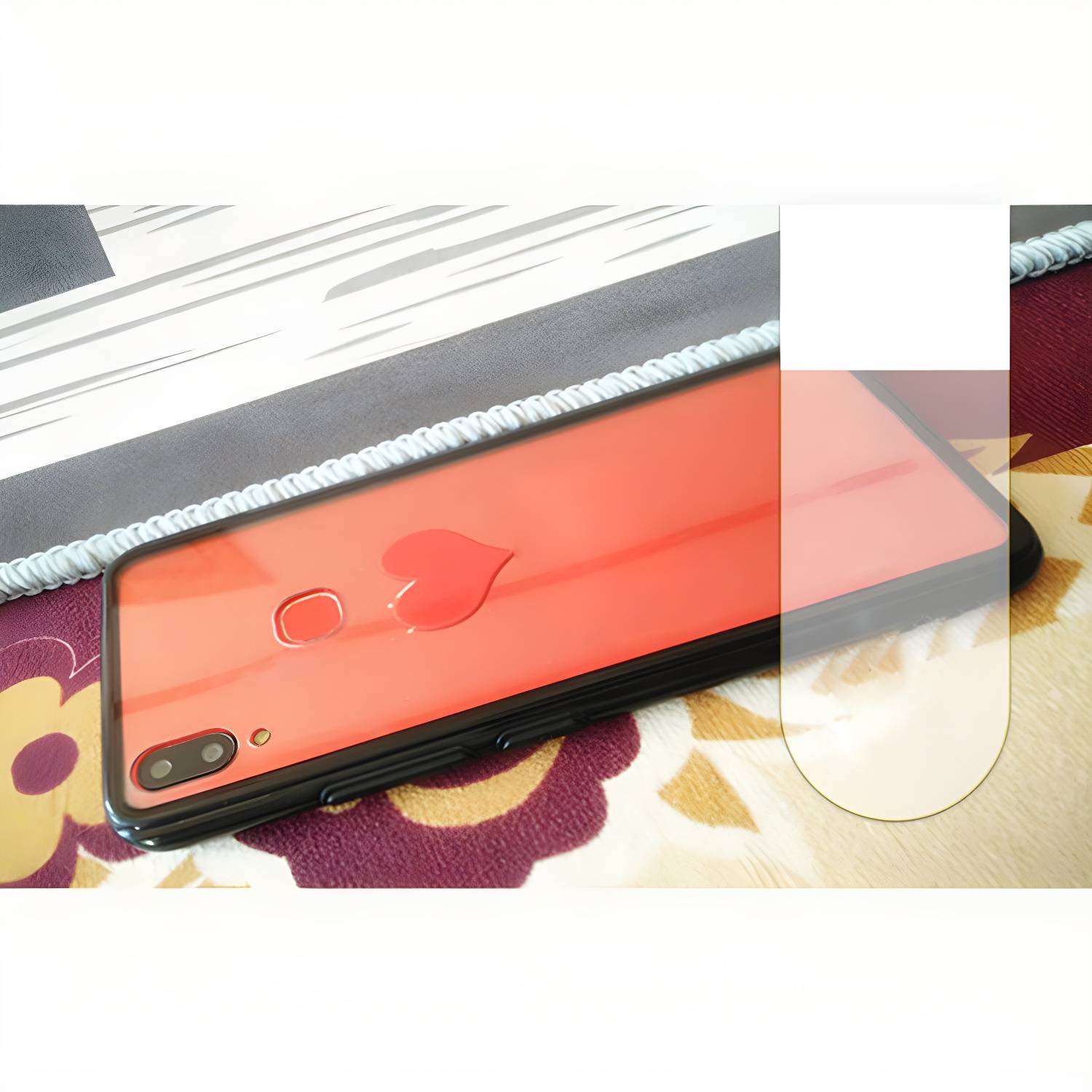 Imported image 869b55802e10 3024861.jpg