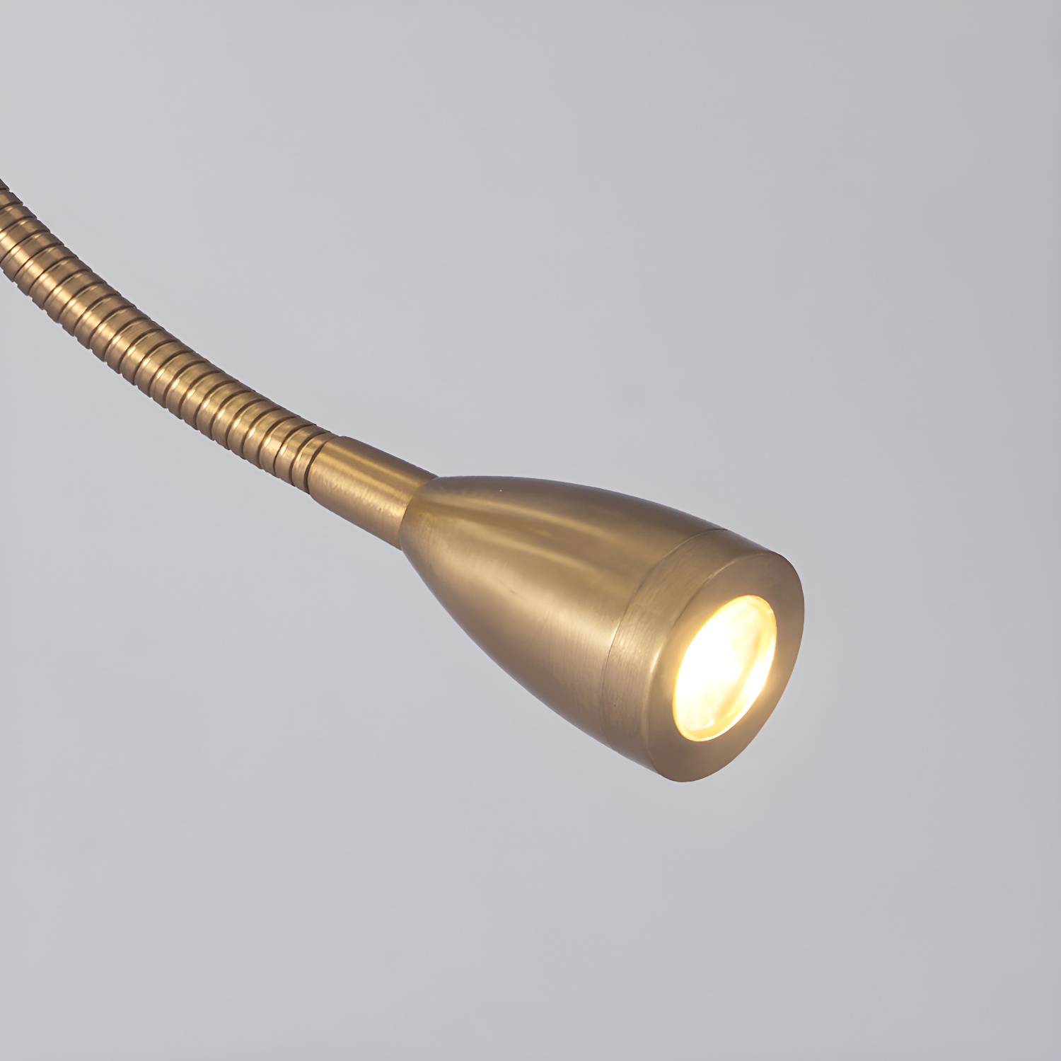 Imported image 6e7fd49db285 3026545.jpg