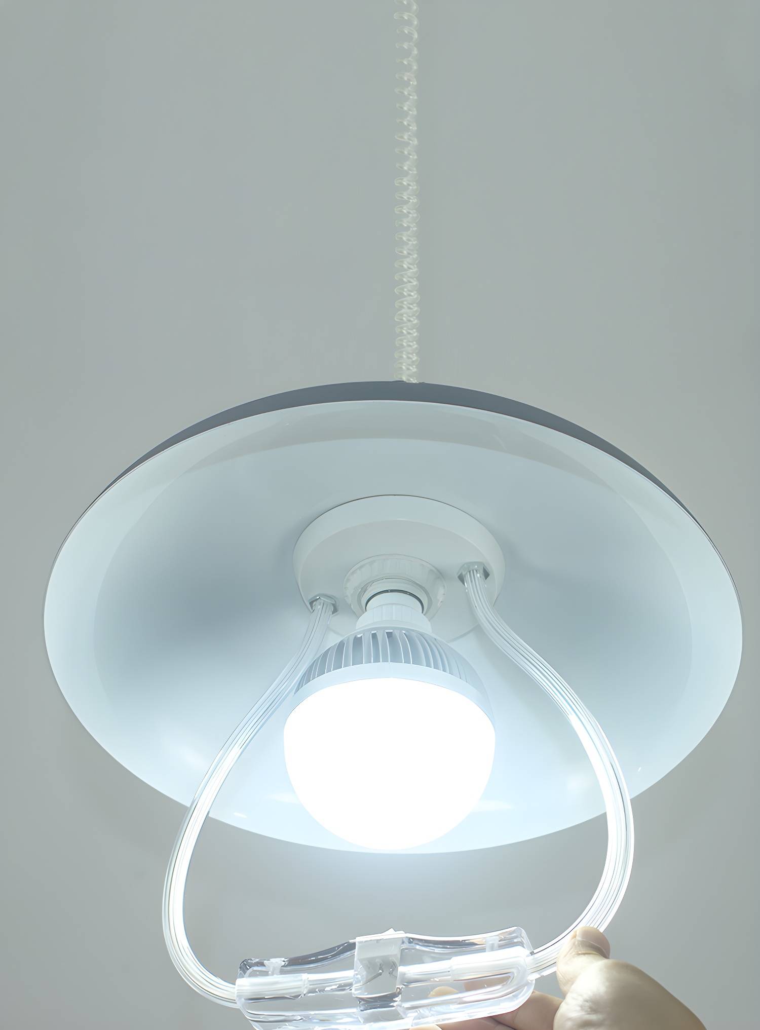 Imported image eb7bc1ba0d90 3029186.jpg