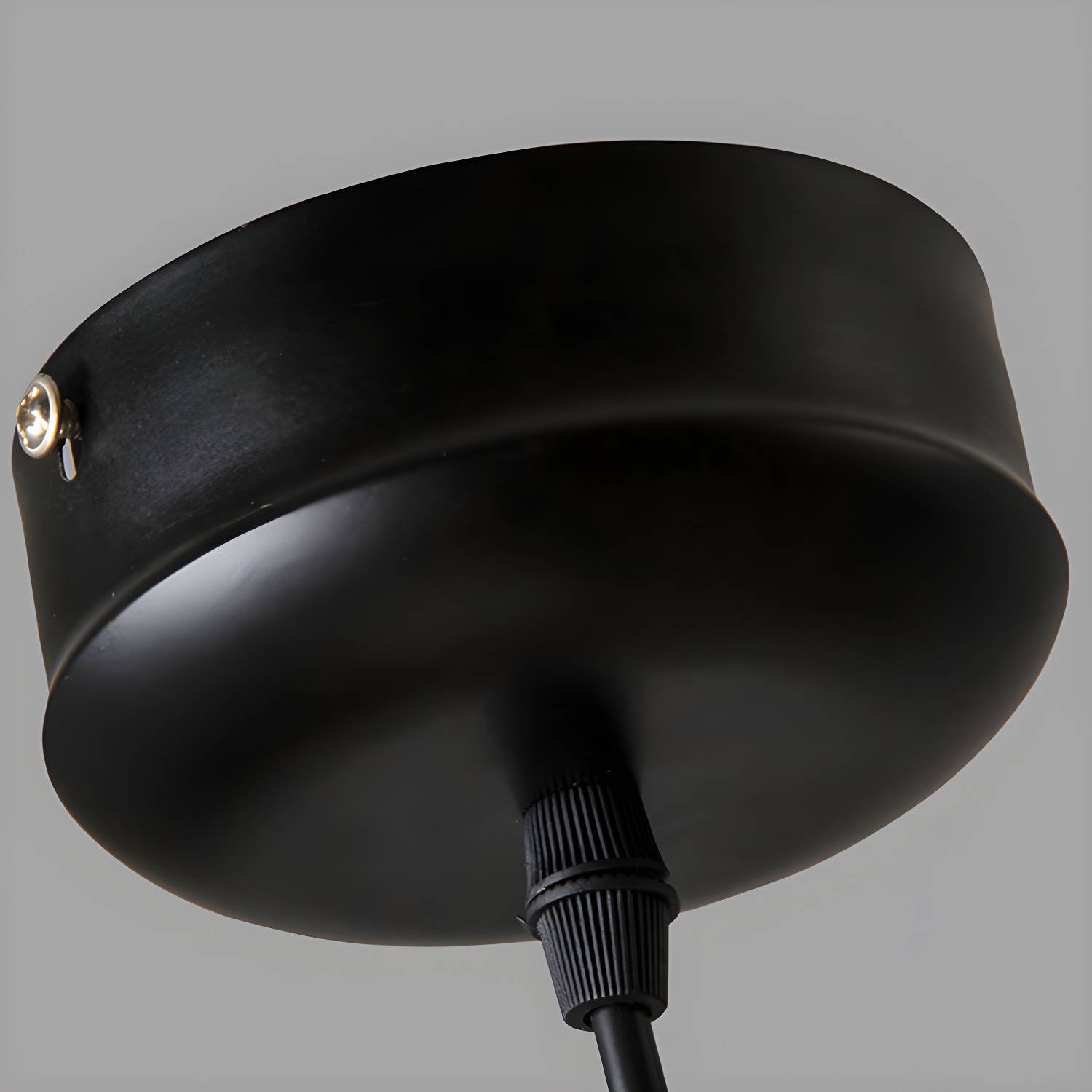 Imported image ace9d64db8b1 3029229.jpg