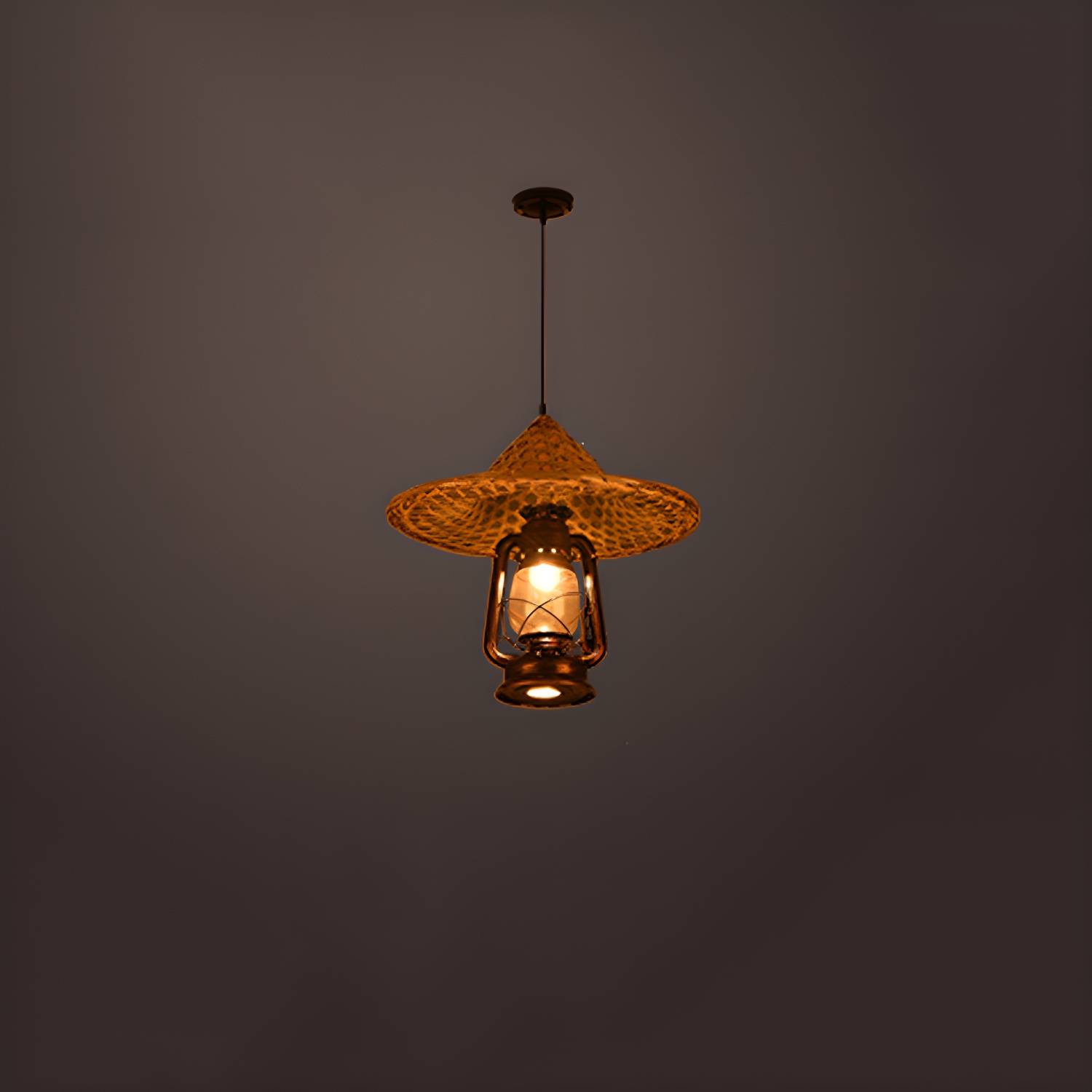 Imported image e928845648dc 3029256.jpg