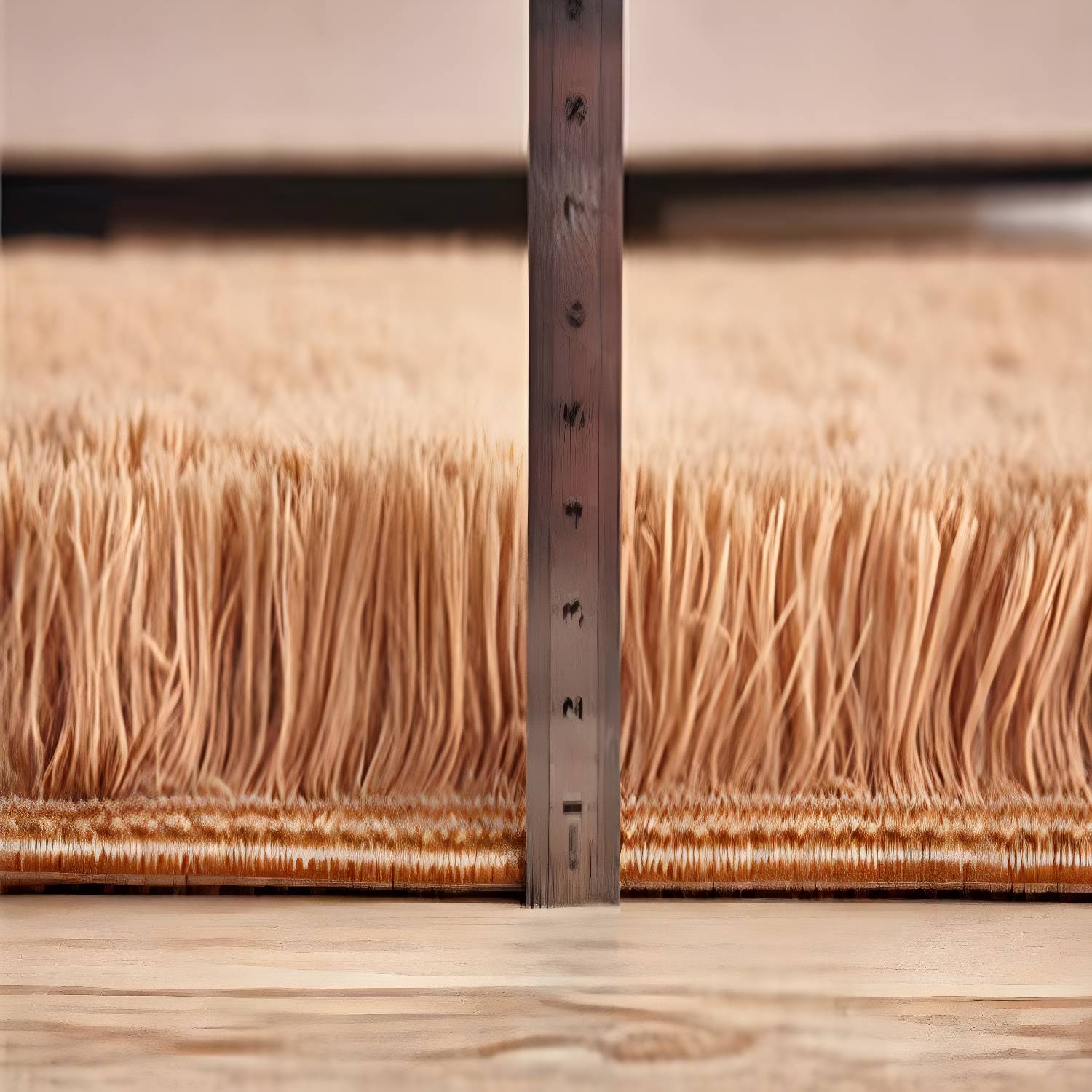 Imported image cc2741e88e7e 3043449.jpg
