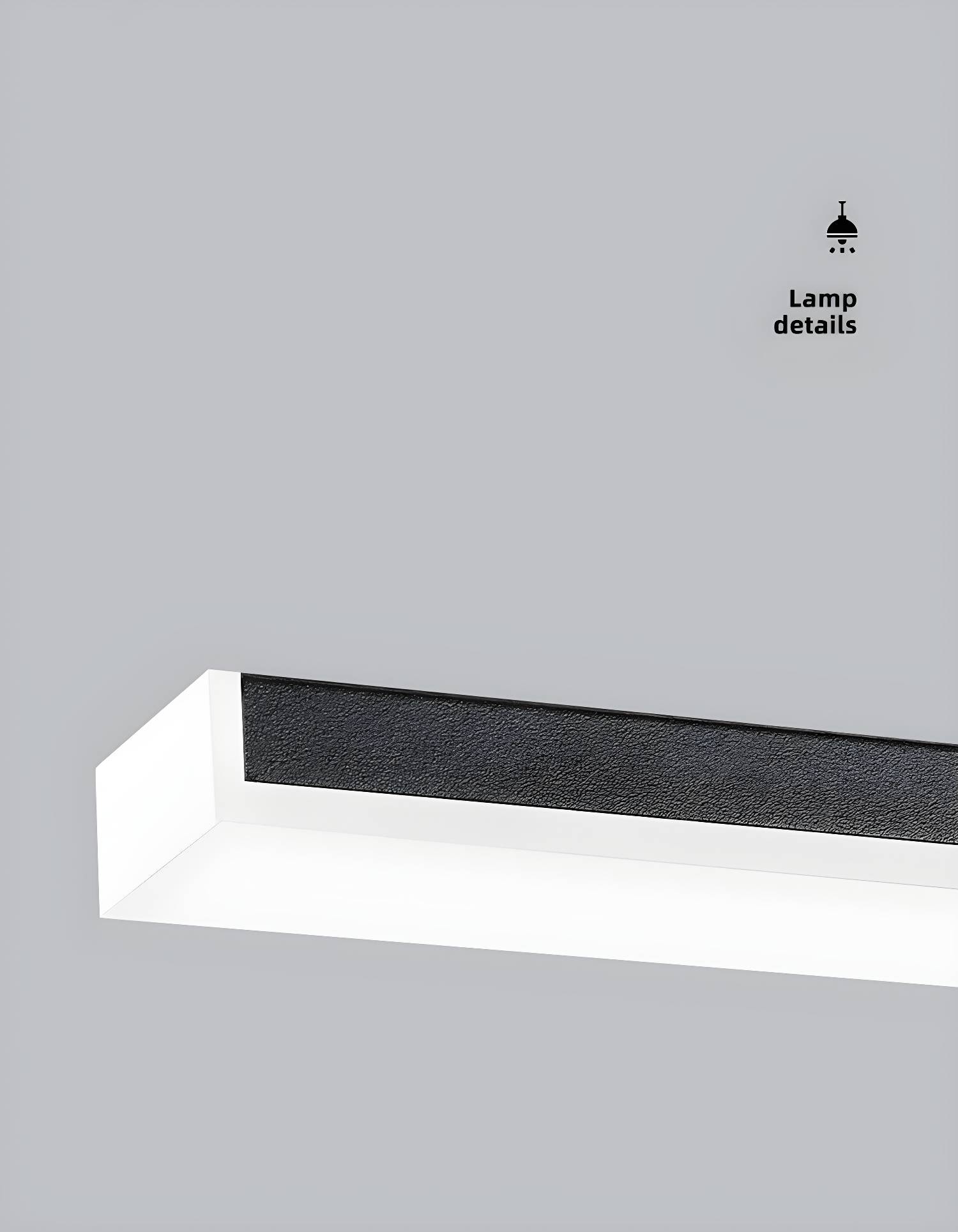 Imported image 597d56e76e2d 3056537.jpg