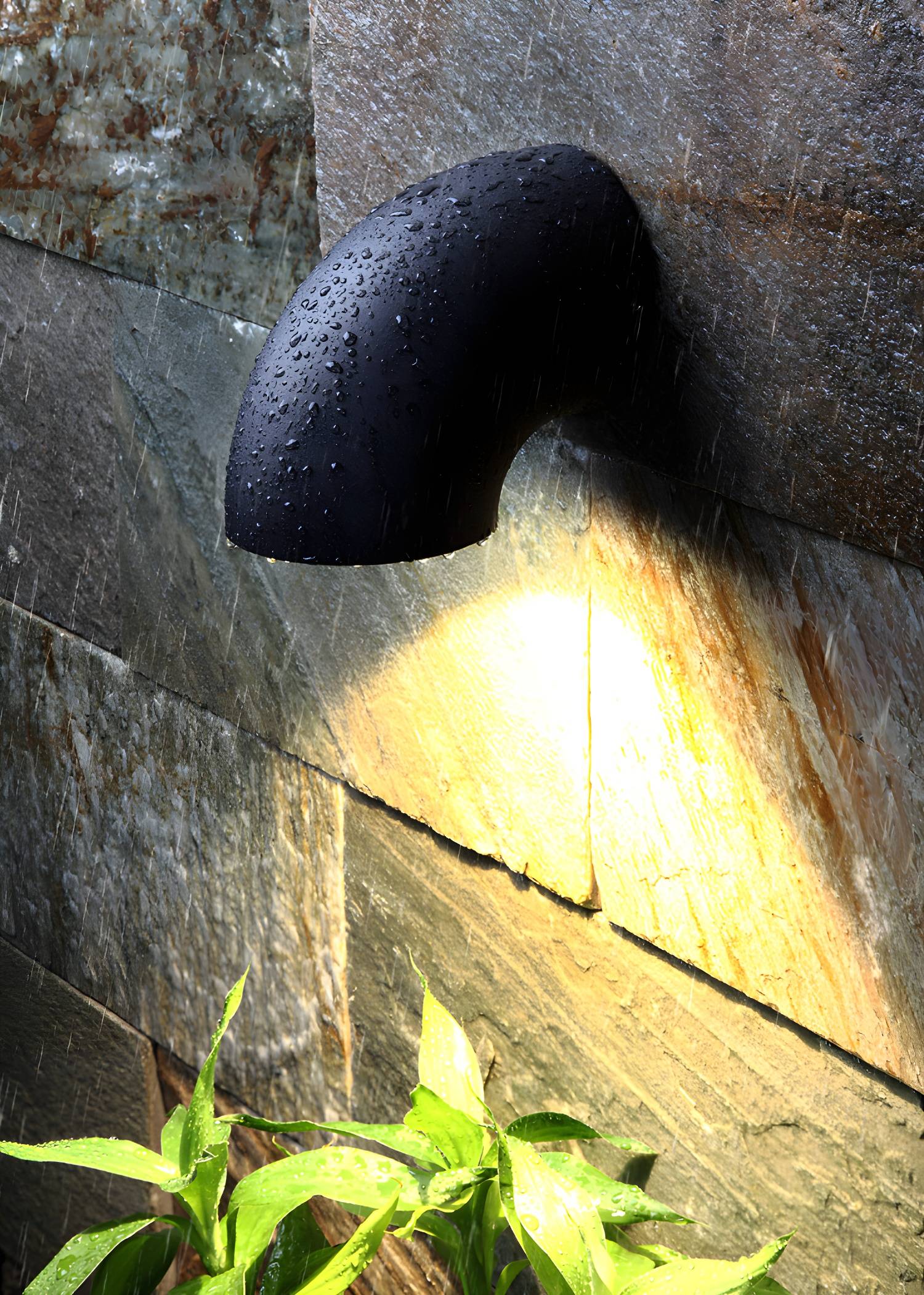 Imported image 653191d99a03 3060247.jpg