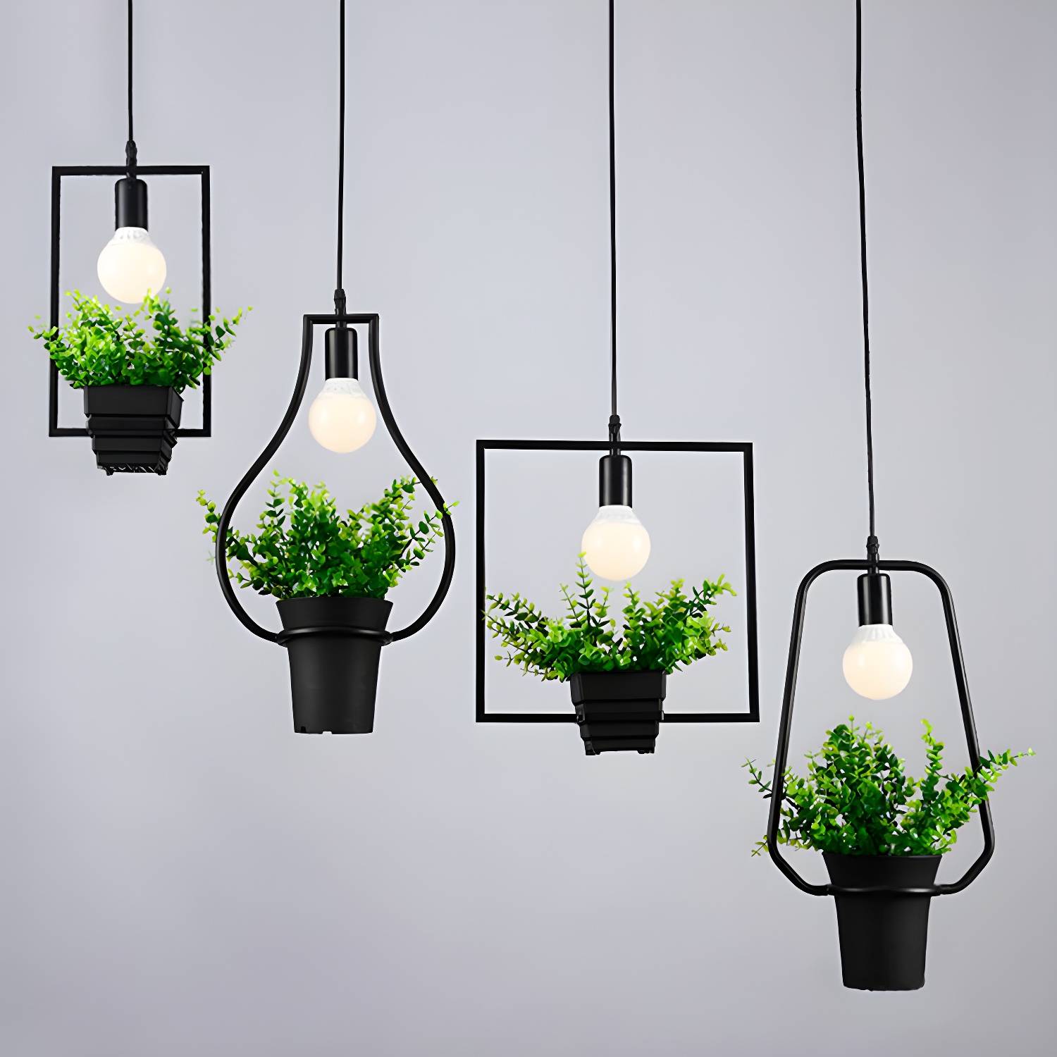 Imported image 6a17160a582f 3060793.jpg