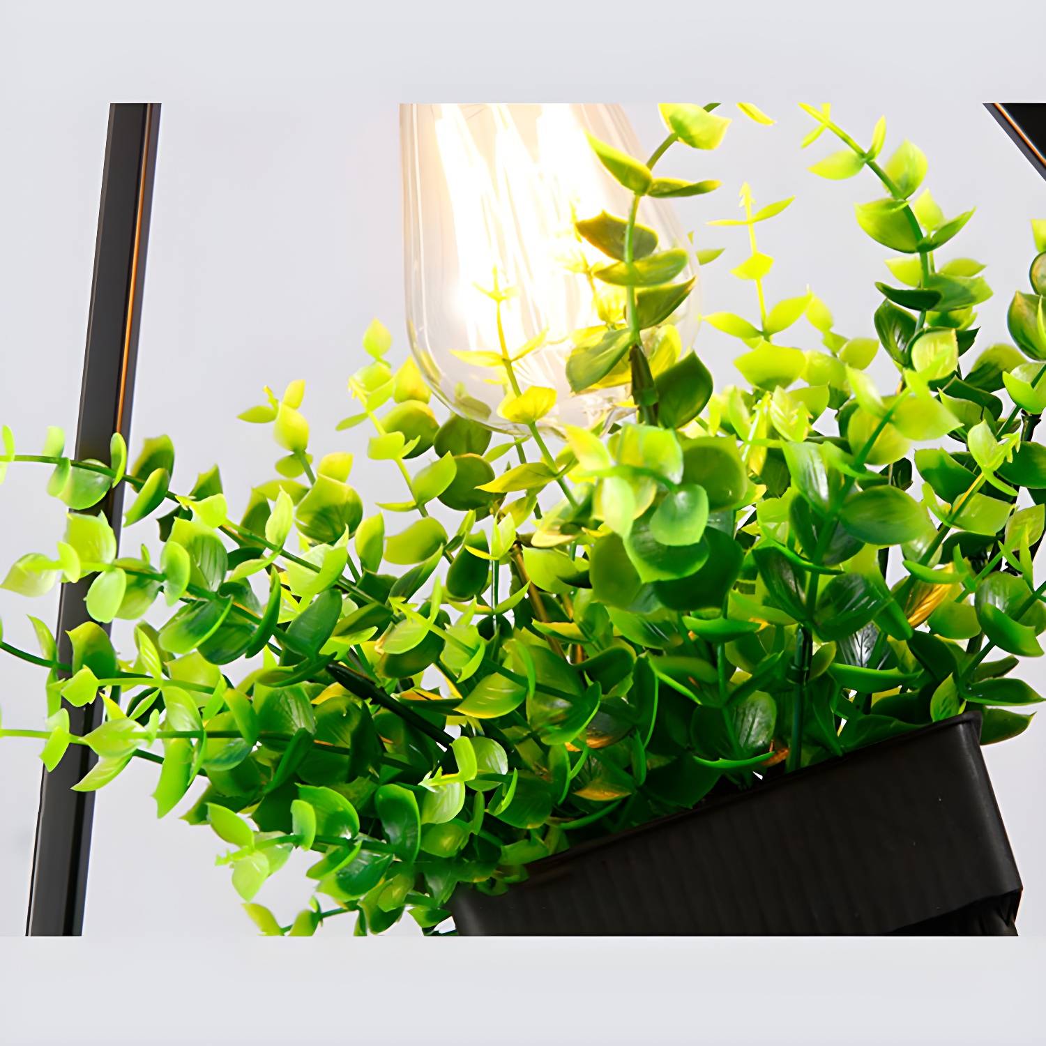 Imported image ad17704f89d4 3060795.jpg