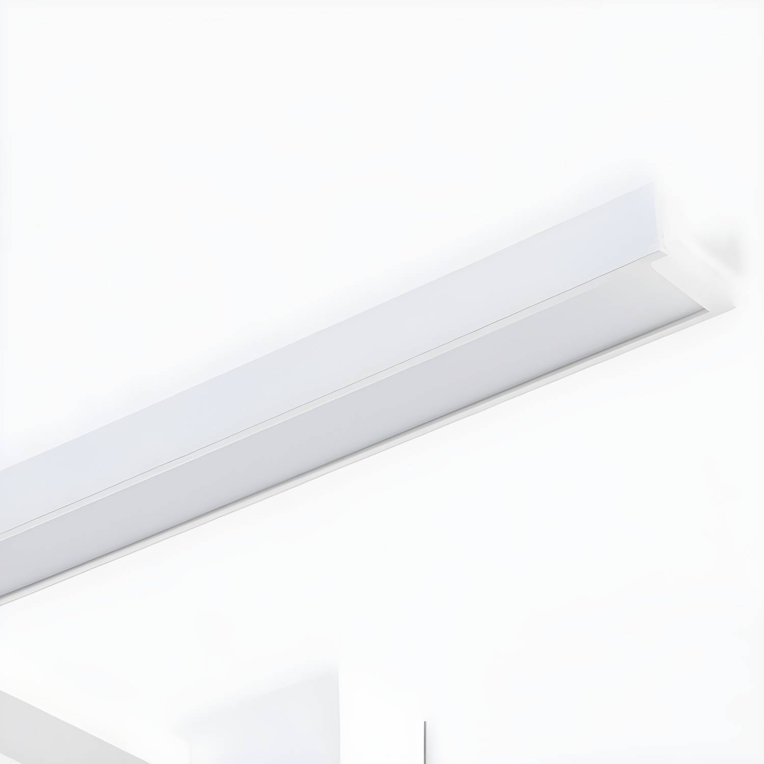 Imported image 891ffe64cfb5 3069308.jpg
