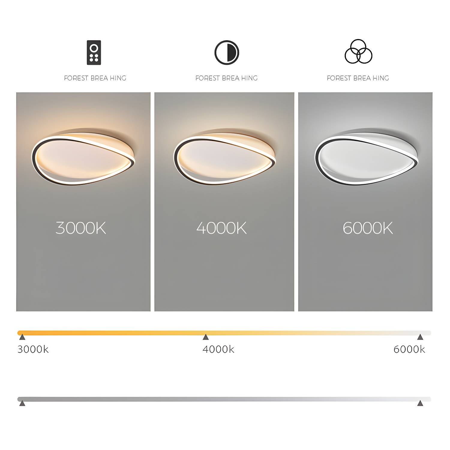 Imported image 959eab0b81e1 3075848.jpg
