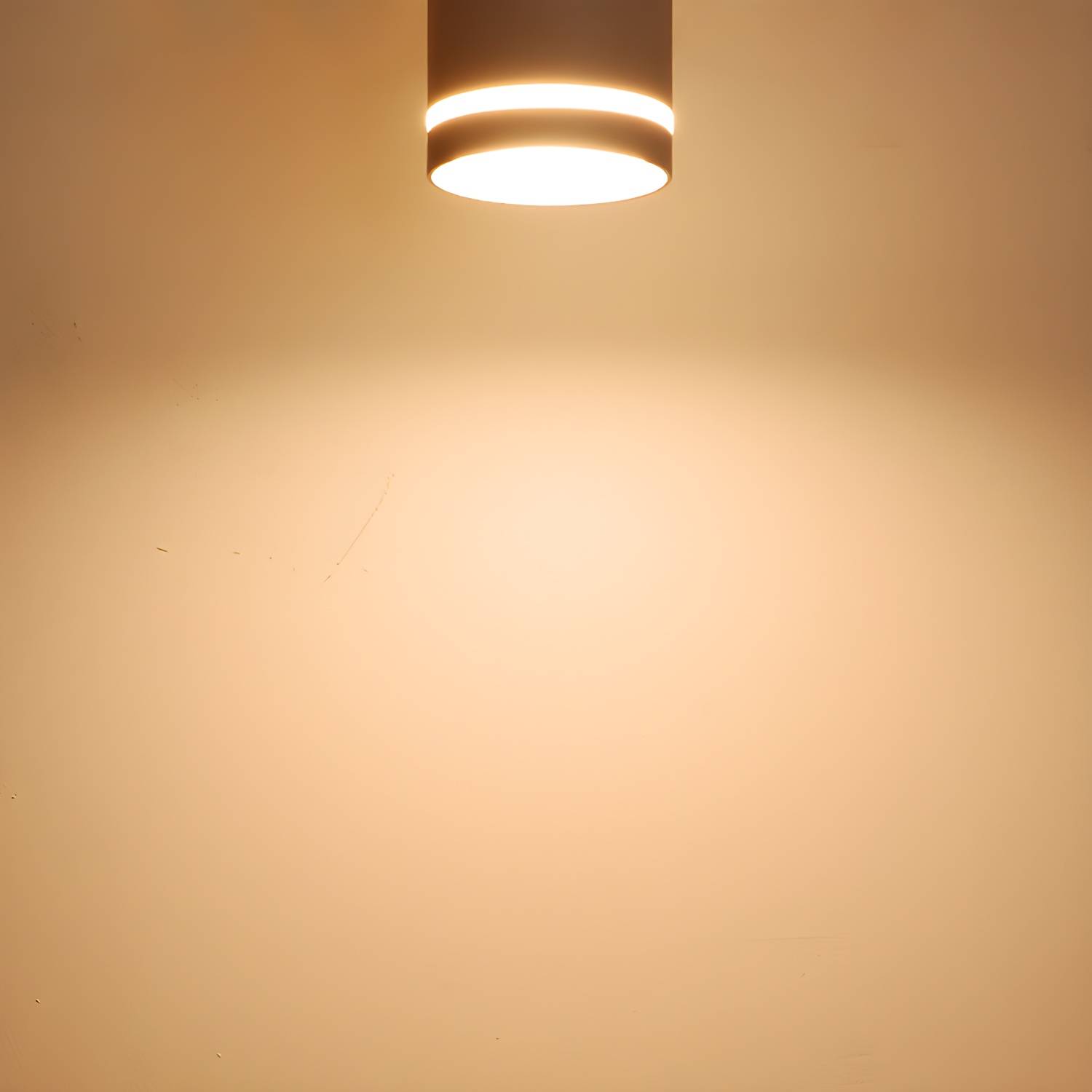 Imported image 301044d8da9d 3078408.jpg