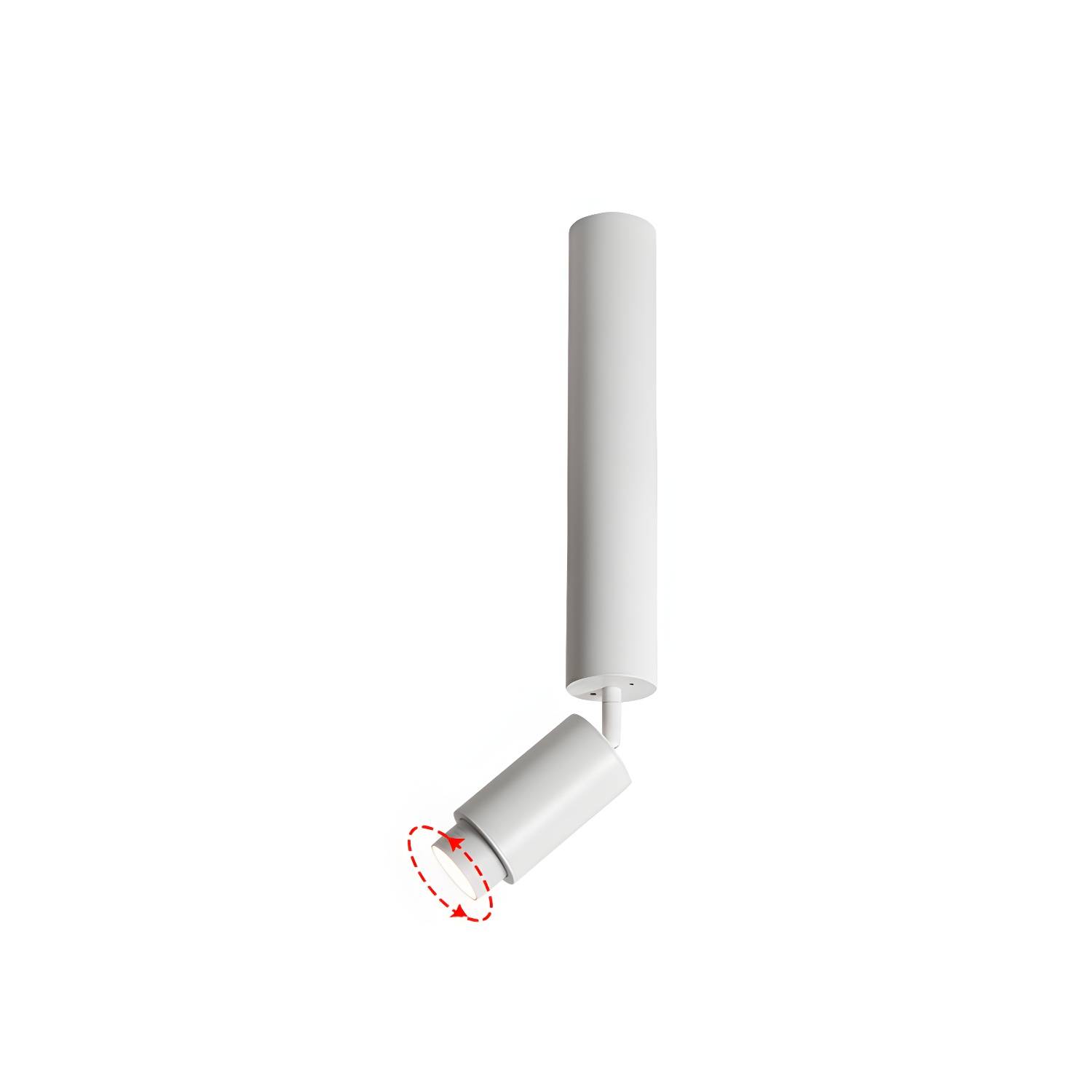 Imported image 614bb55b07eb 3078429.jpg
