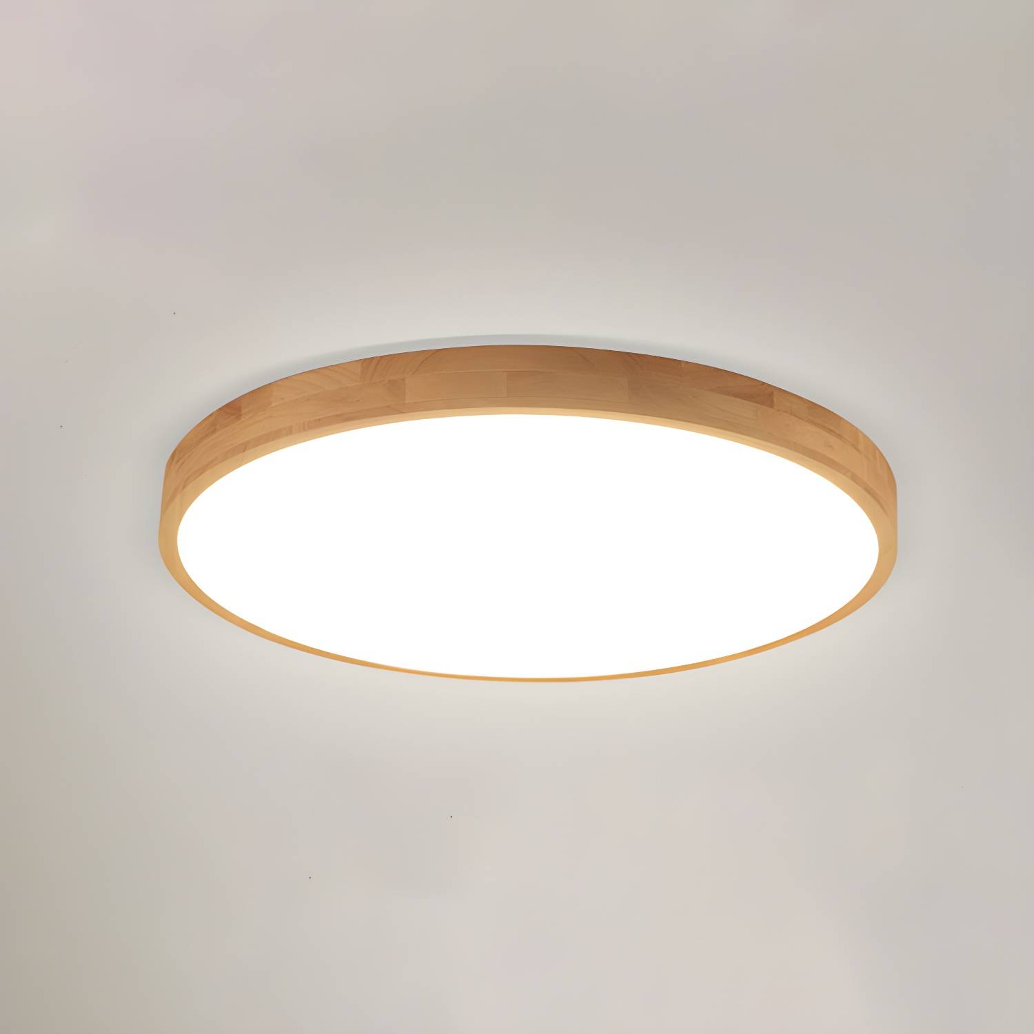 Imported image 4420eab12069 3078494.jpg