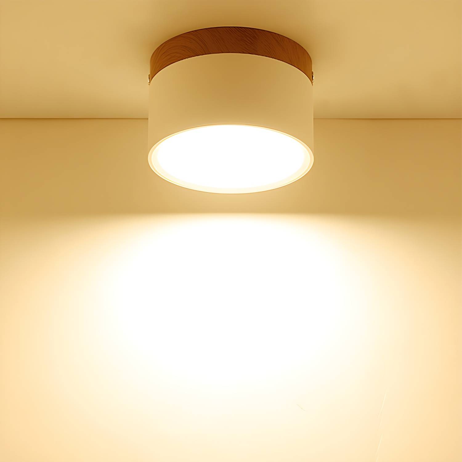 Imported image 87067a74926d 3082177.jpg