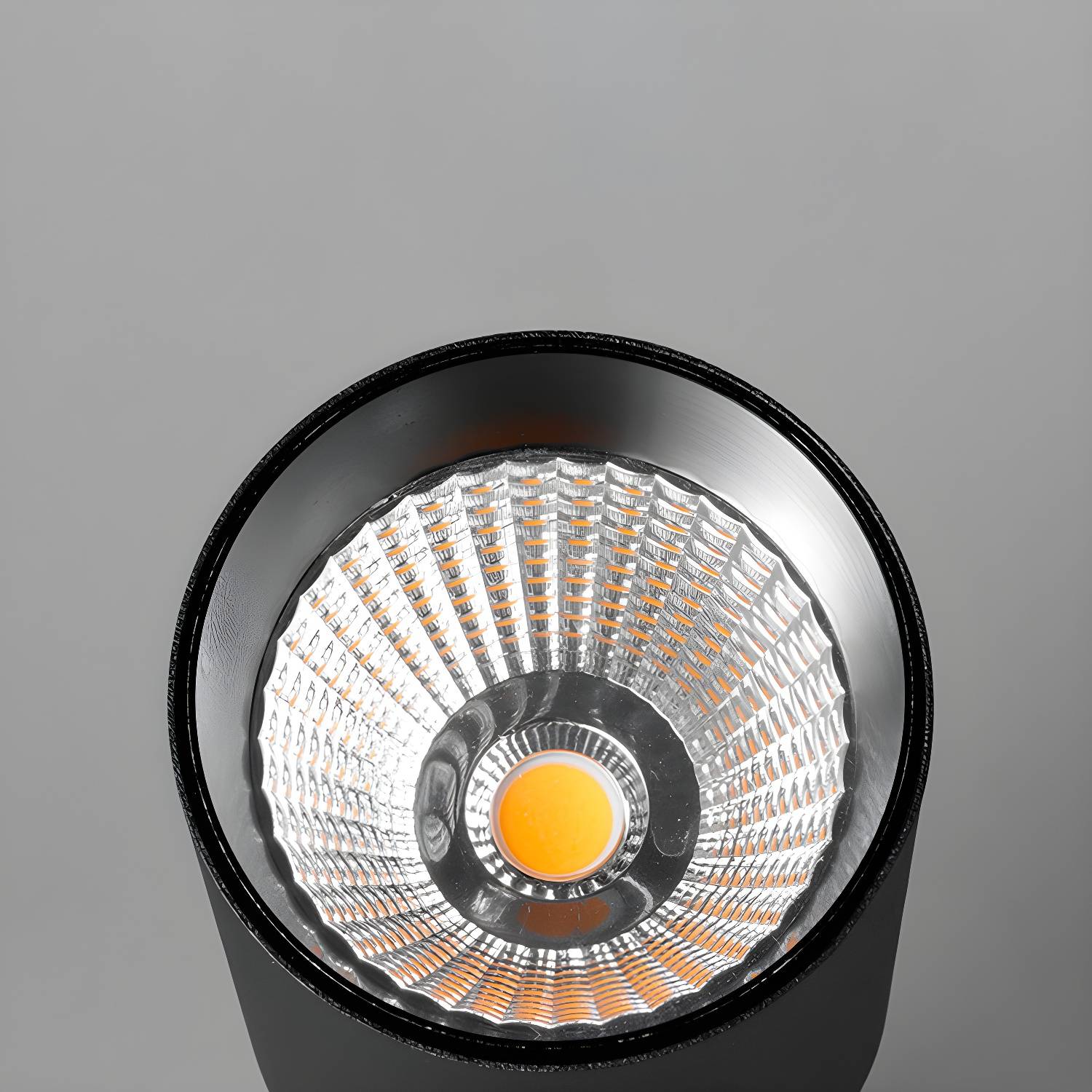 Imported image 64822cfadbaa 3082251.jpg