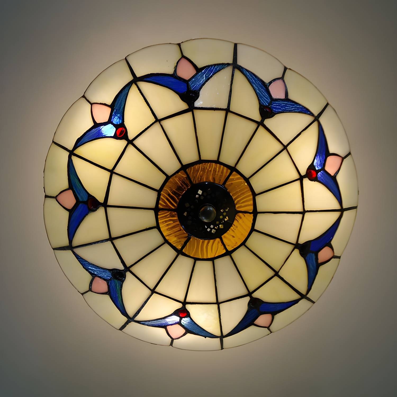 Imported image e9b28038de57 3082397.jpg