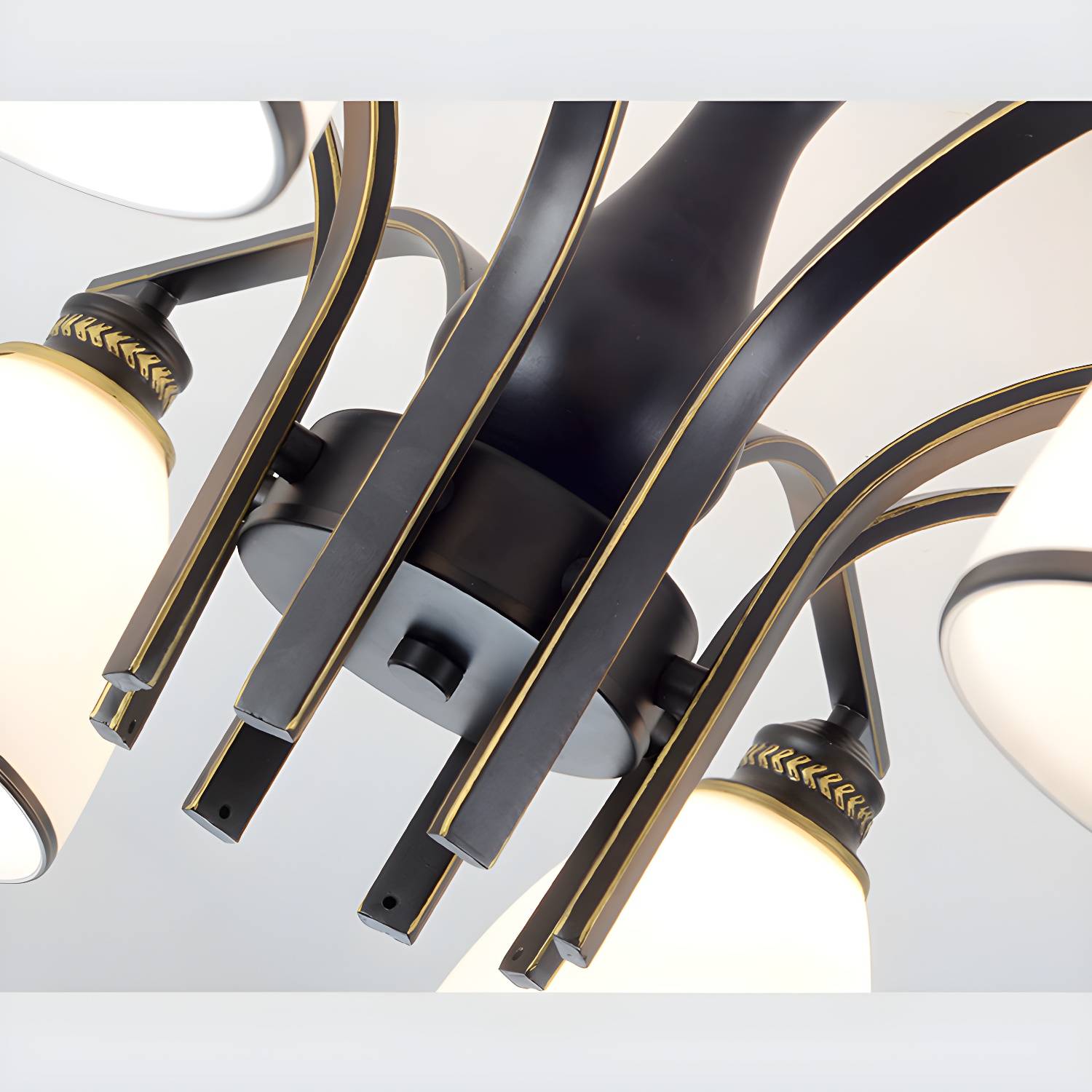 Imported image 5e25da1da58f 3082491.jpg