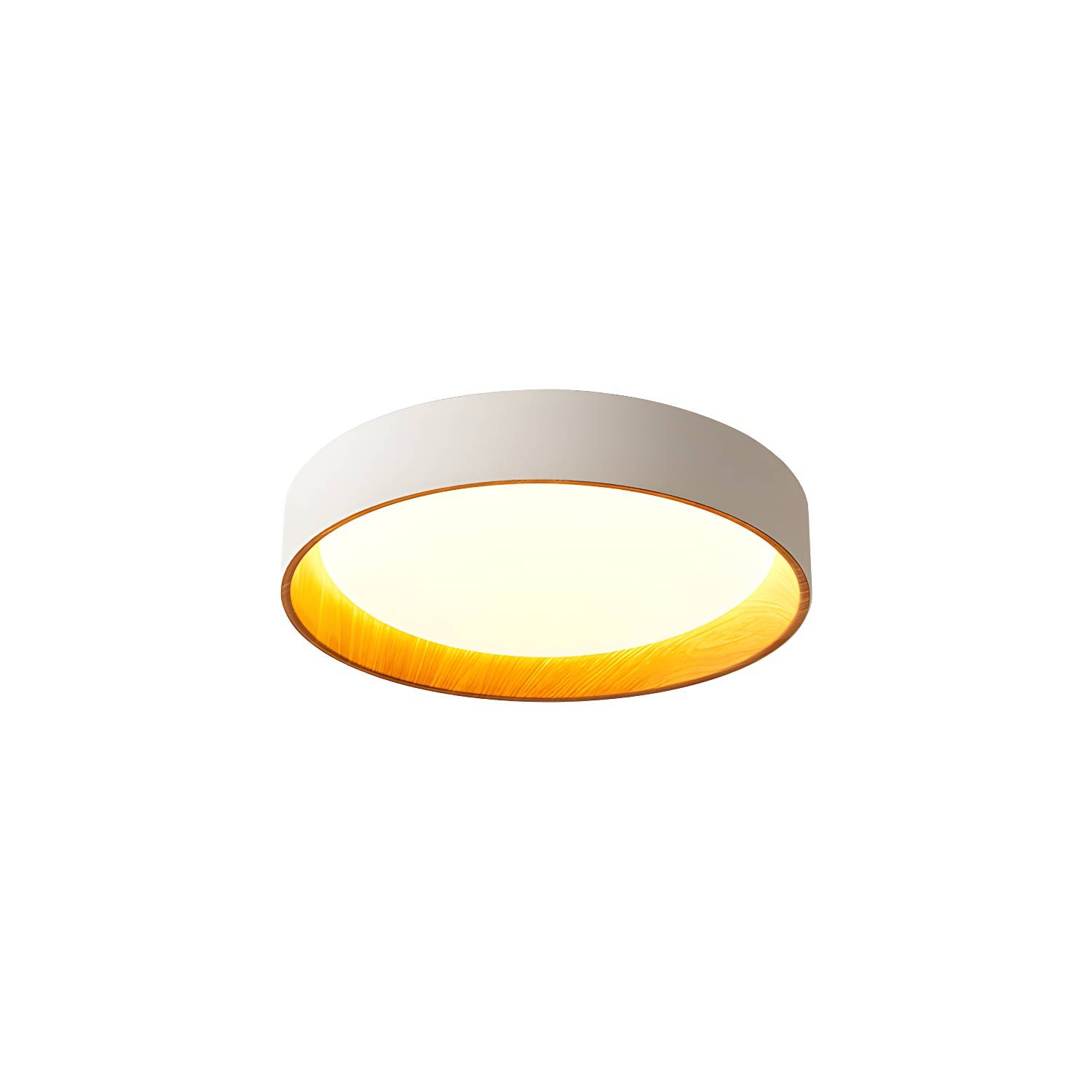 Imported image 4547ea767a62 3089694.jpg