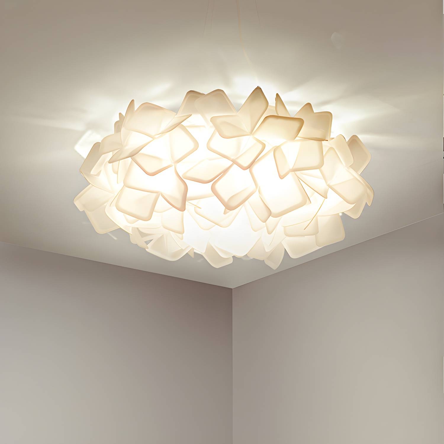 Imported image 8bf61affa37f 3089745.jpg