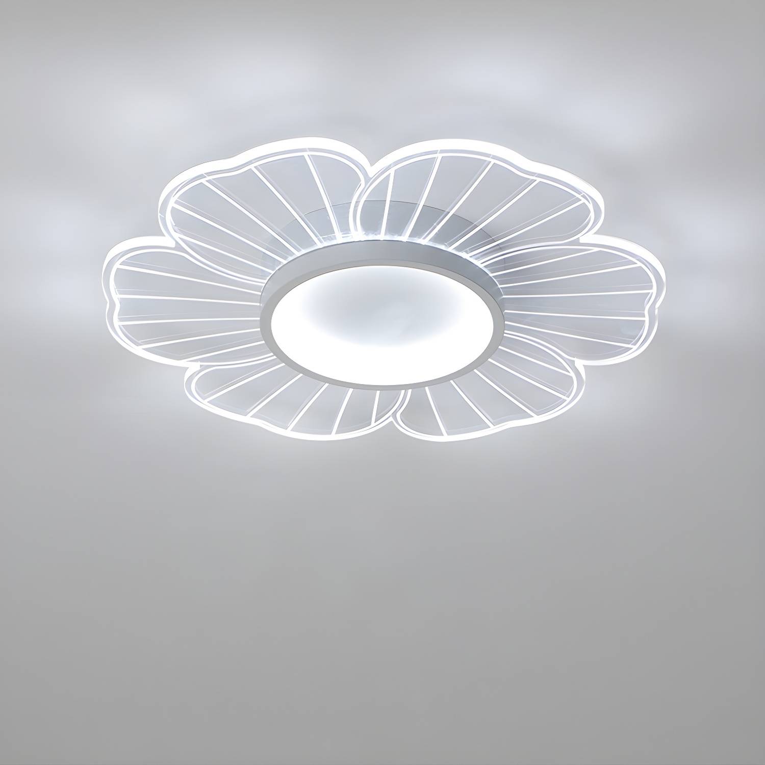 Imported image 22f71c9b9c9d 3089773.jpg