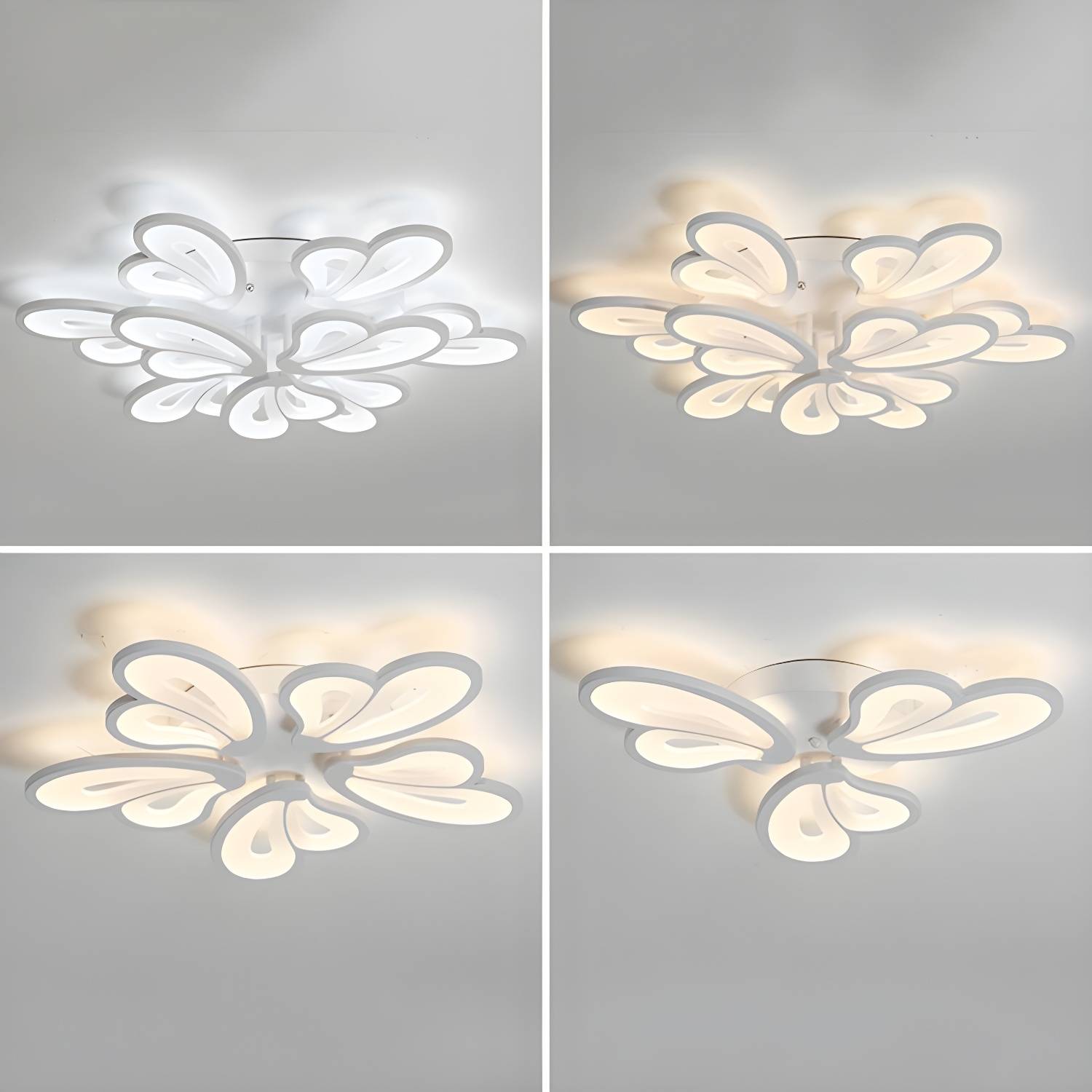 Imported image d3bc1e7597af 3089882.jpg
