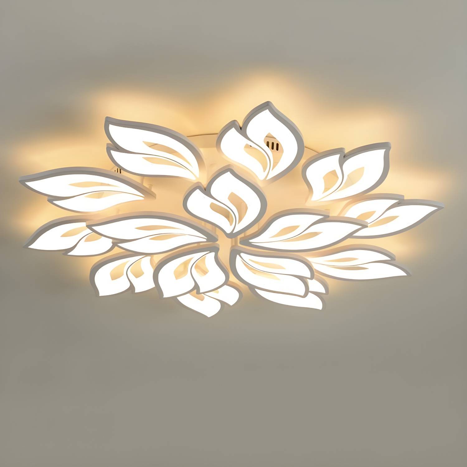 Imported image c5ecd896da17 3089945.jpg