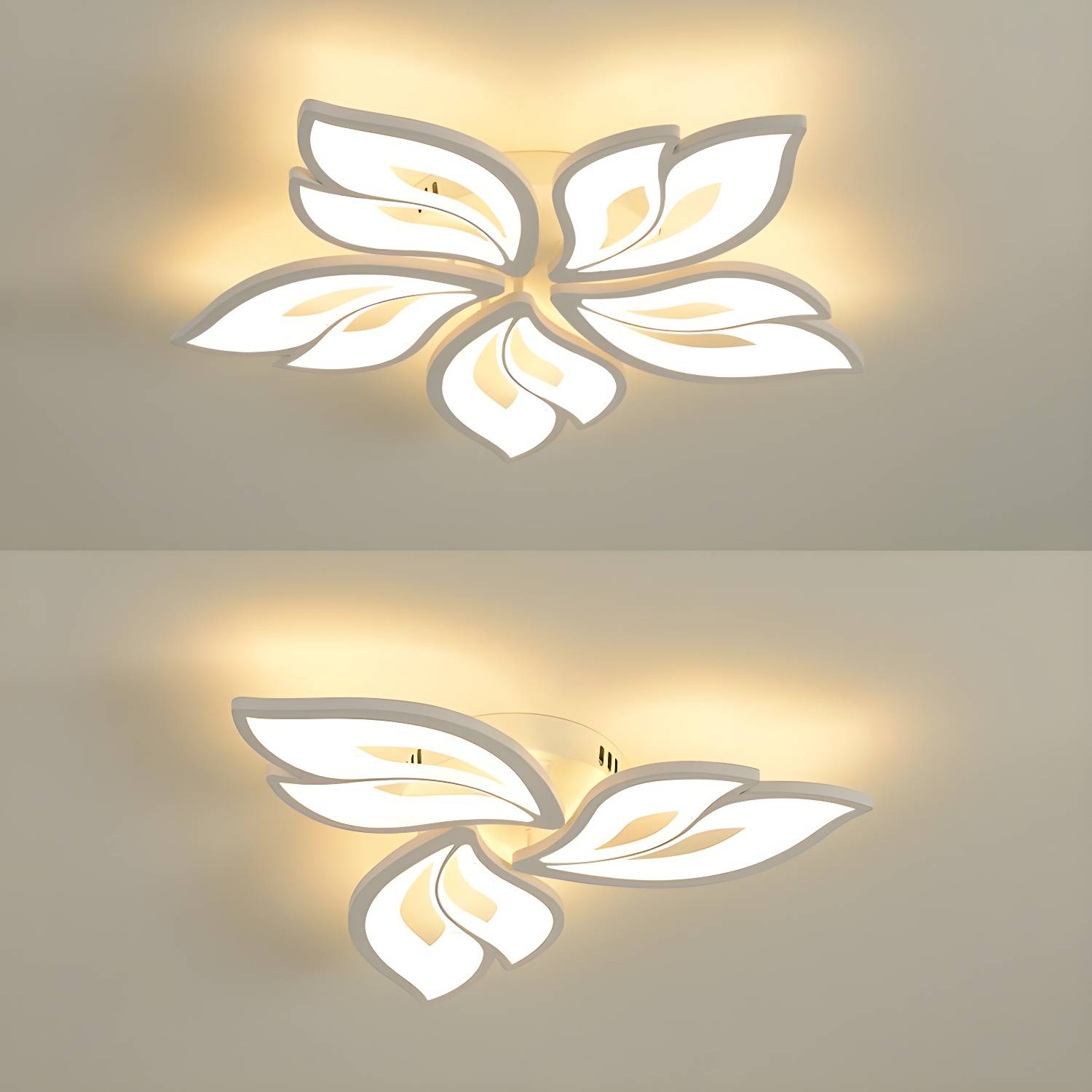 Imported image f356c99d3a51 3089948.jpg