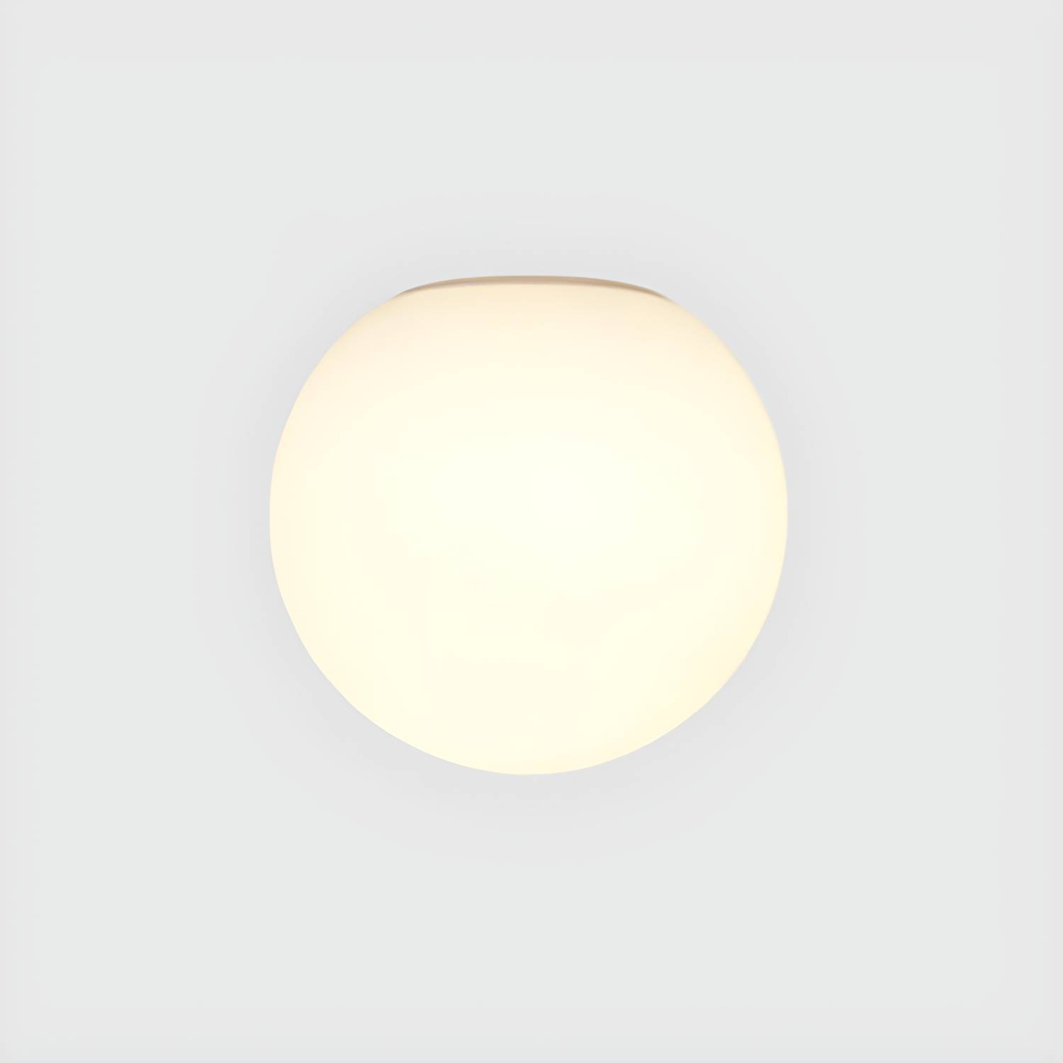 Imported image 7f651e727041 3090496.jpg