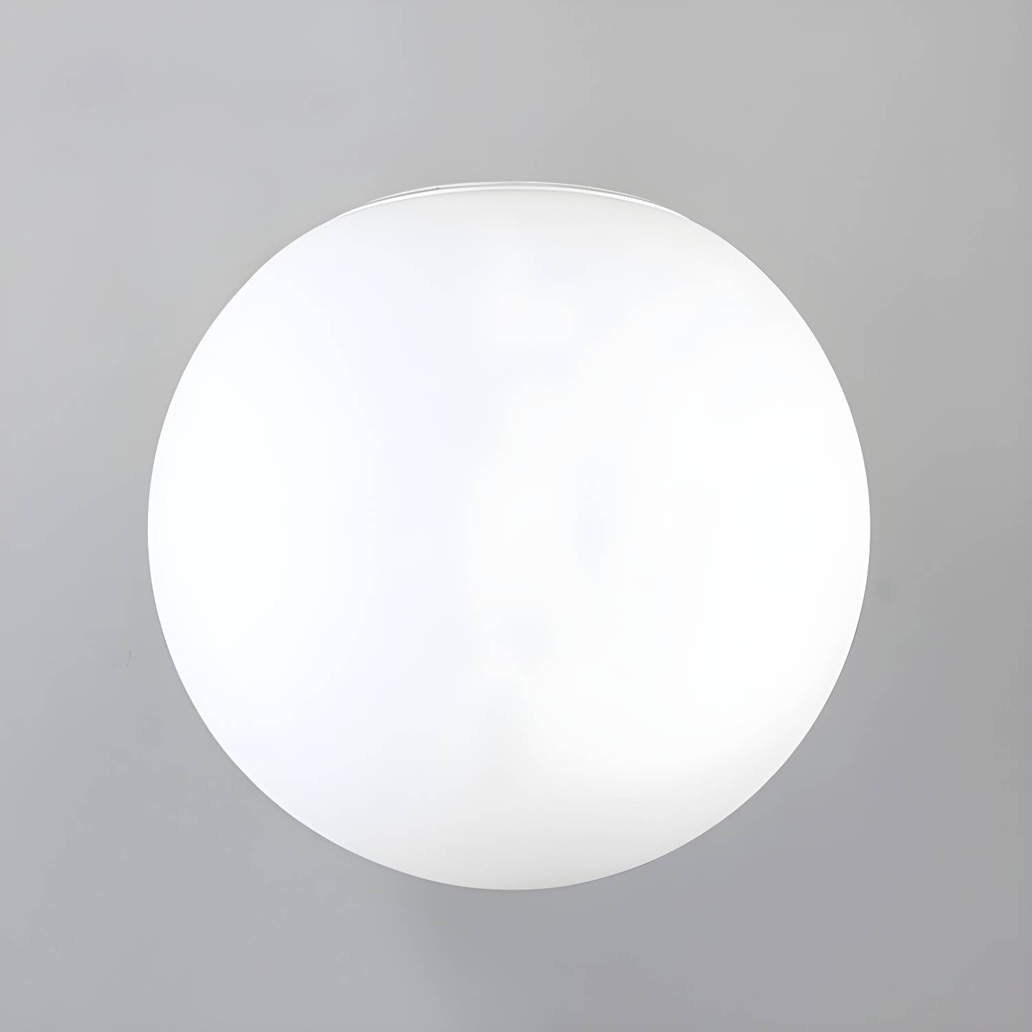 Imported image f33f82d14615 3090504.jpg
