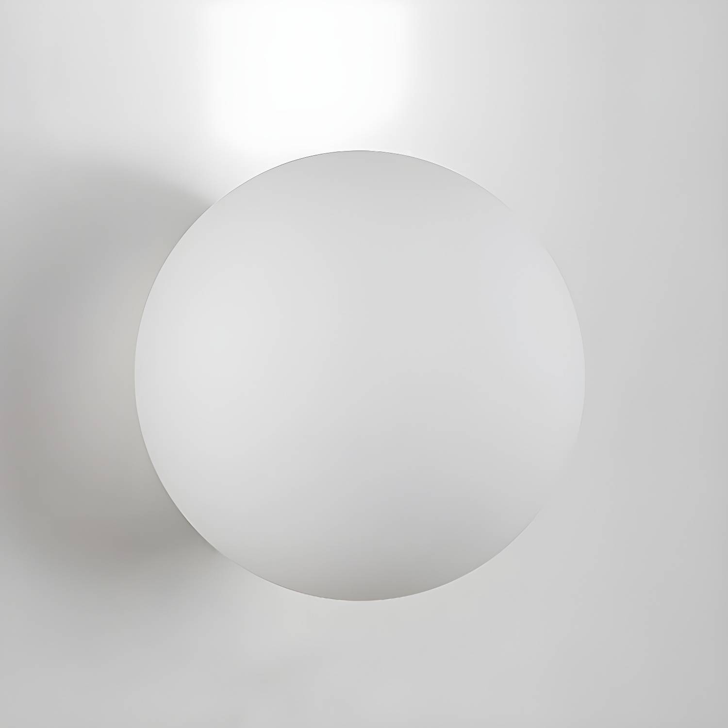 Imported image c9696b5a2397 3090505.jpg