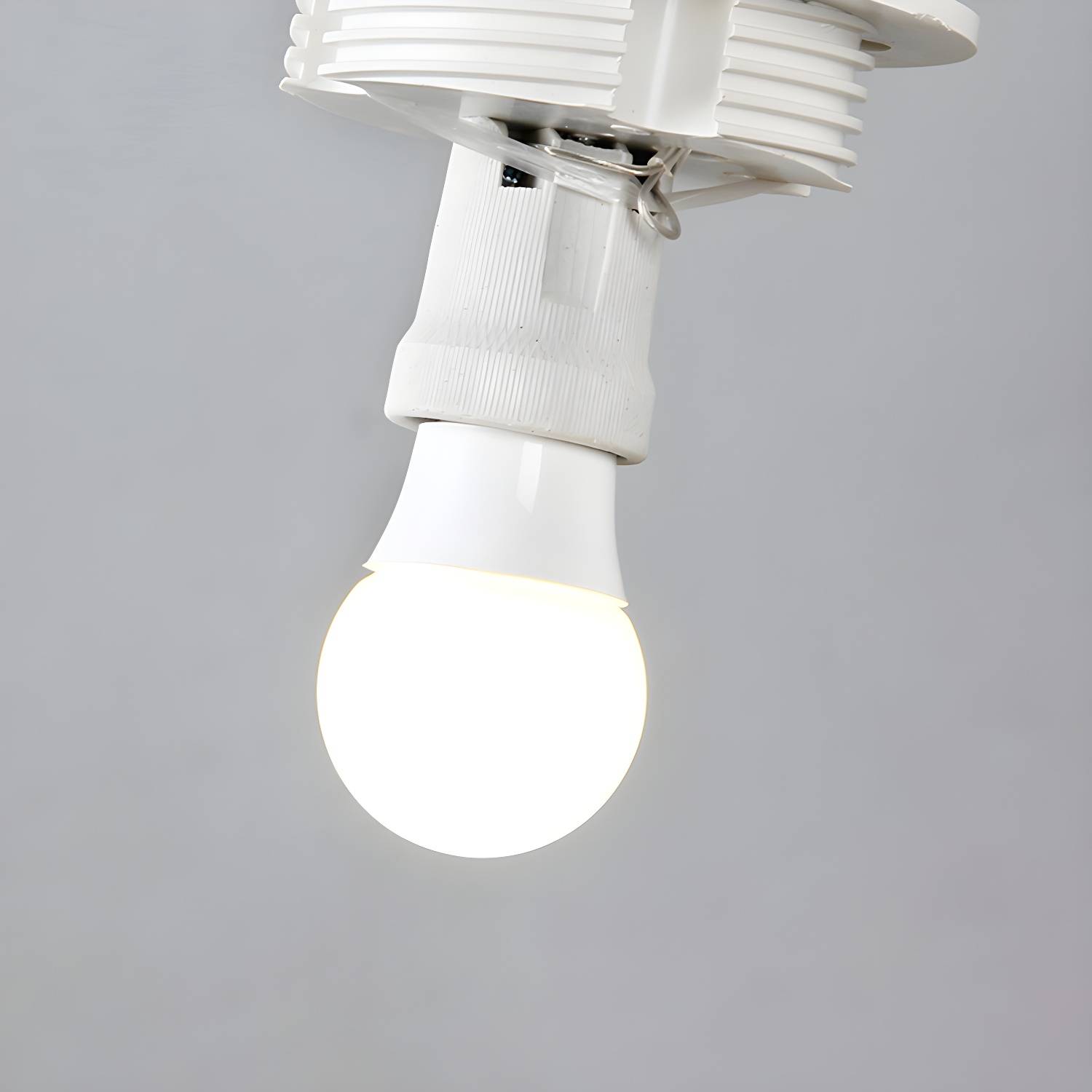 Imported image e0bd34f0fb04 3090507.jpg