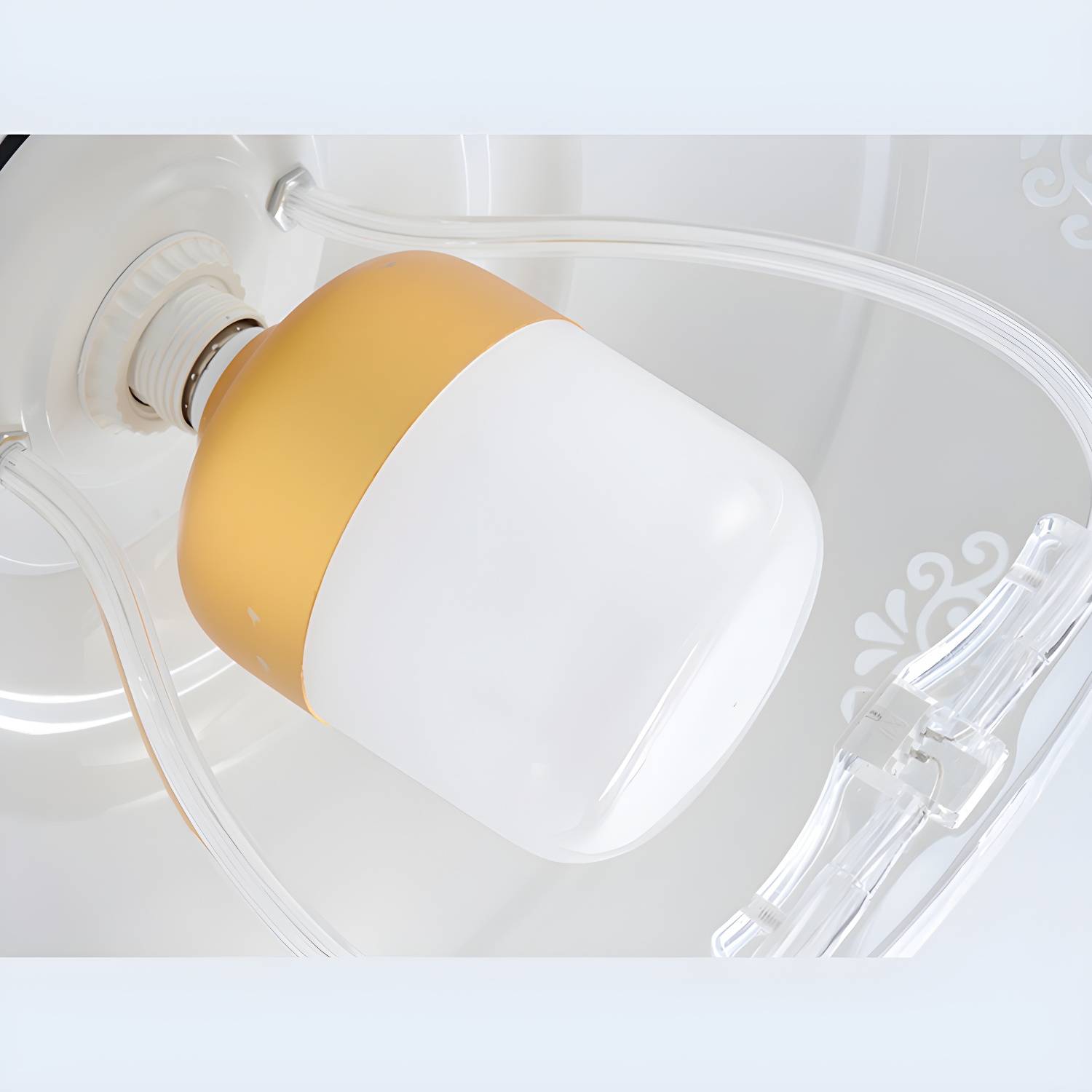 Imported image 8bdfb86a8ab9 3091253.jpg