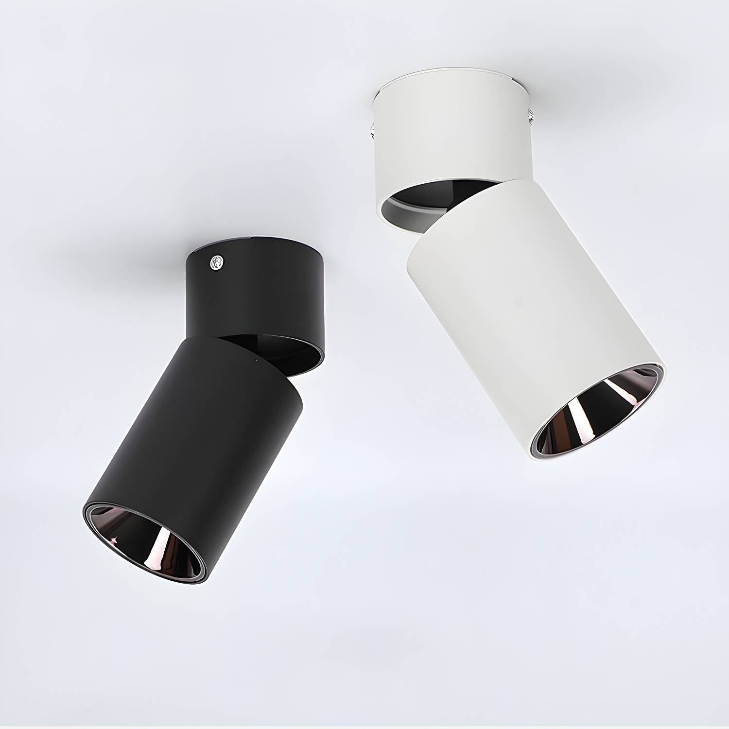 Imported image c8c721348693 3091289.jpg