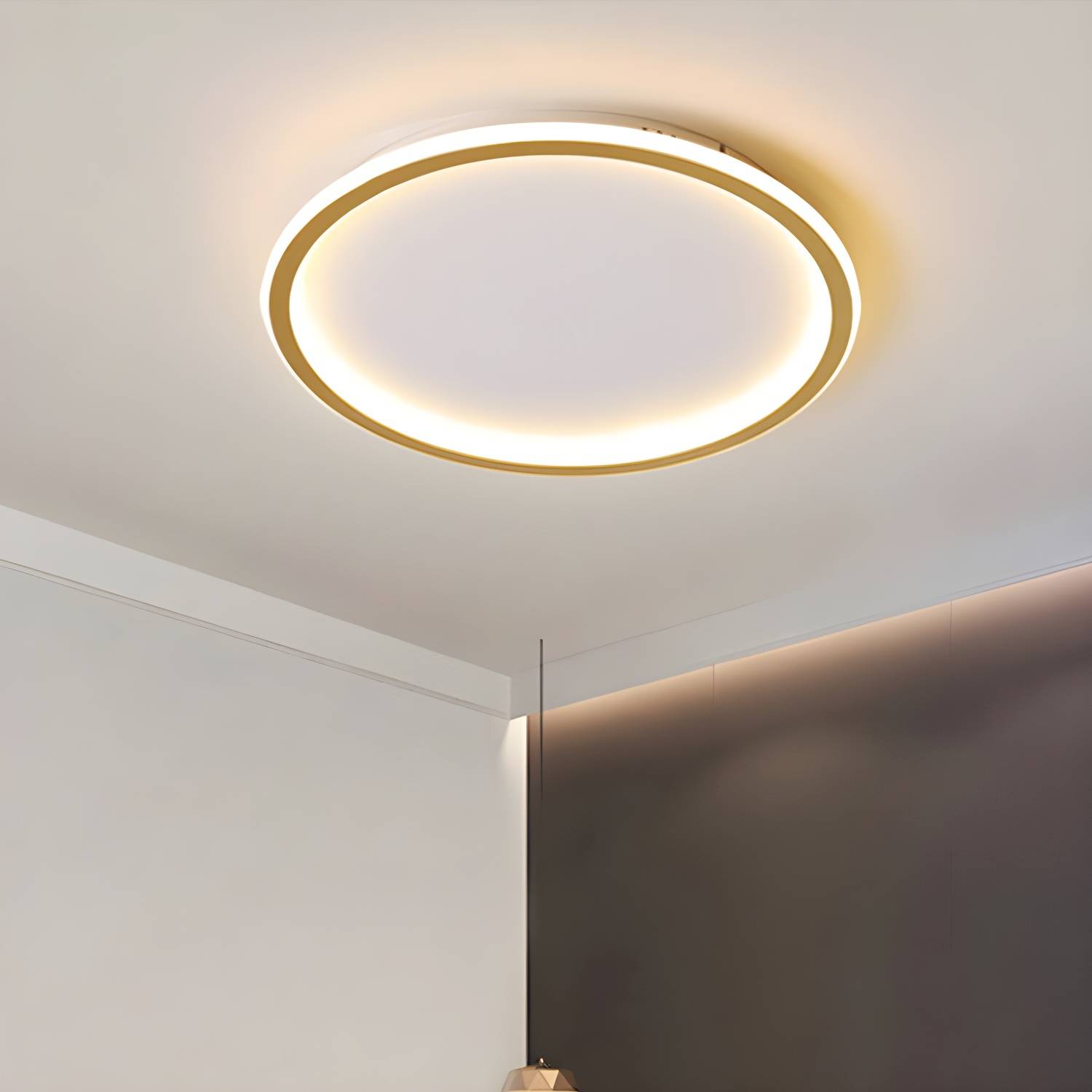 Imported image de8e91386ae0 3091359.jpg