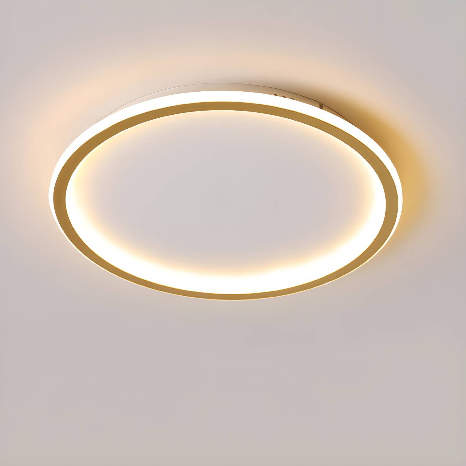 Imported image 941984a0216e 3091364.jpg