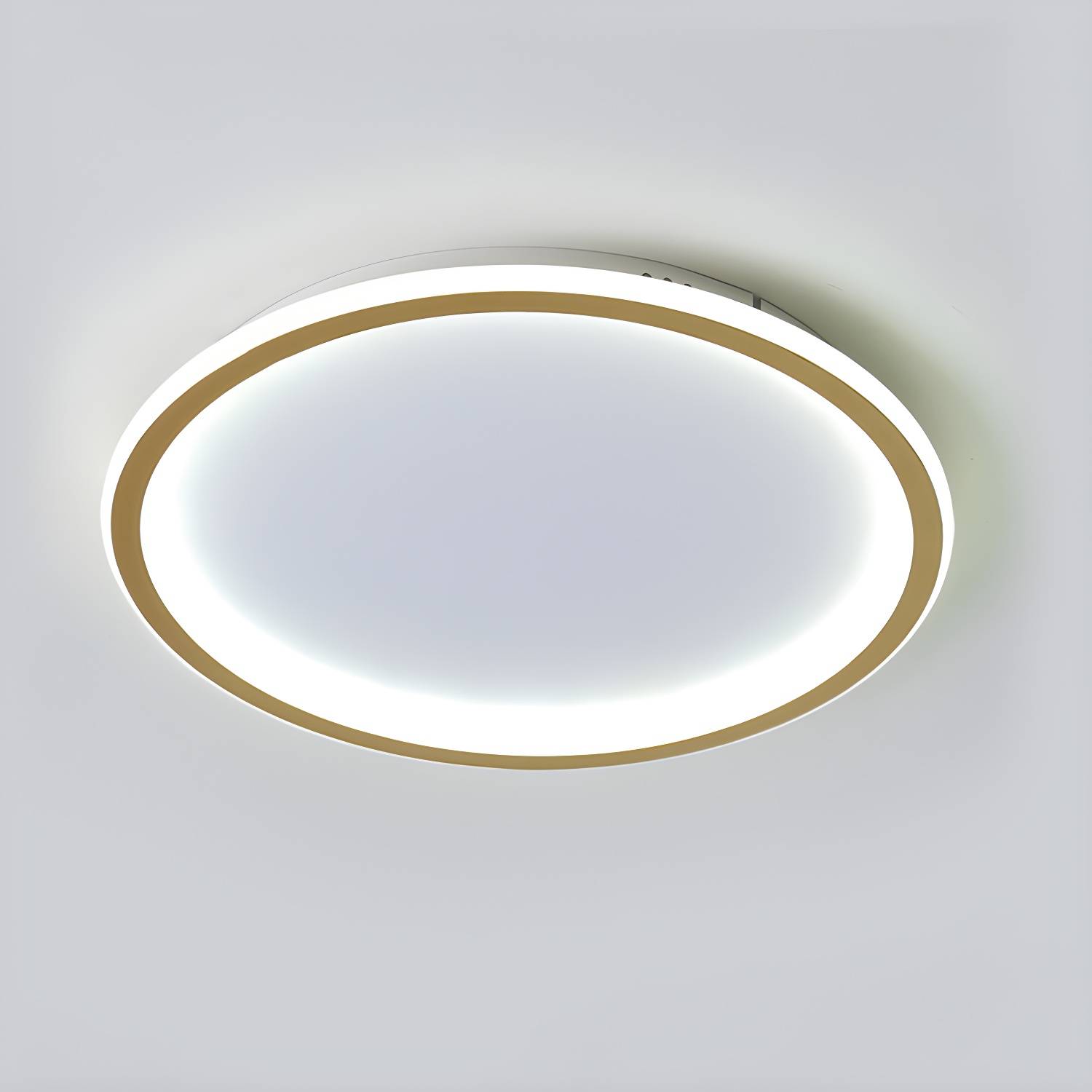 Imported image 8f1403255966 3091367.jpg