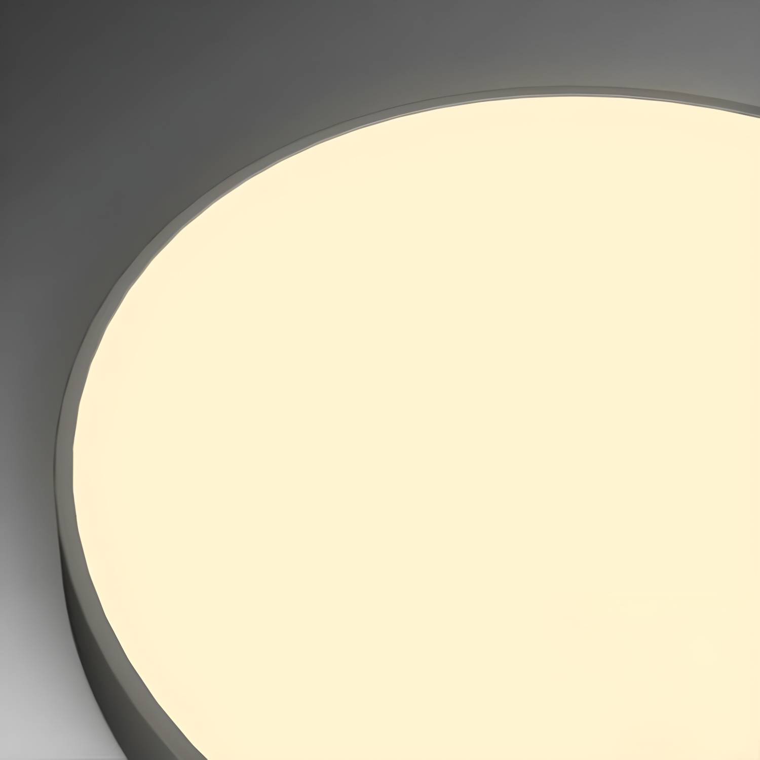 Imported image 1c83f2bf9332 3091442.jpg