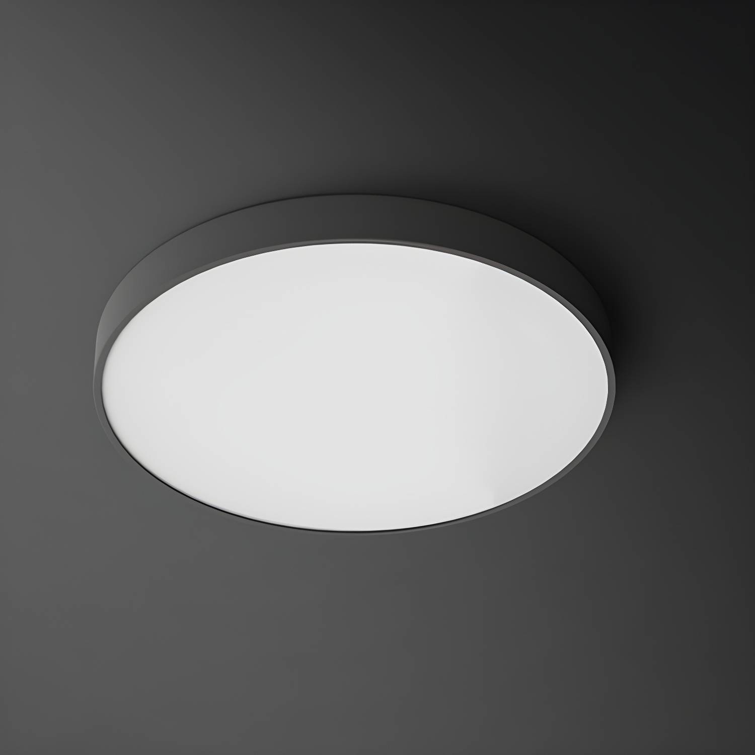Imported image b2bd6323880a 3091448.jpg