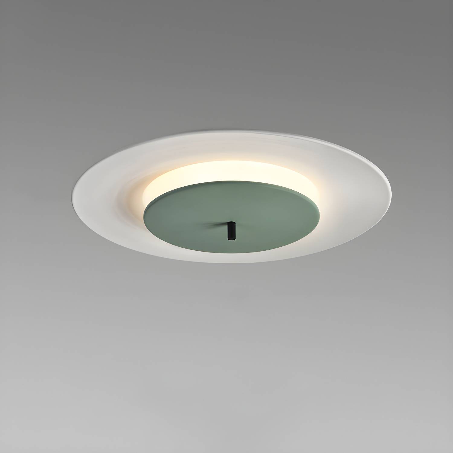 Imported image 3cb998f326e2 3092304.jpg