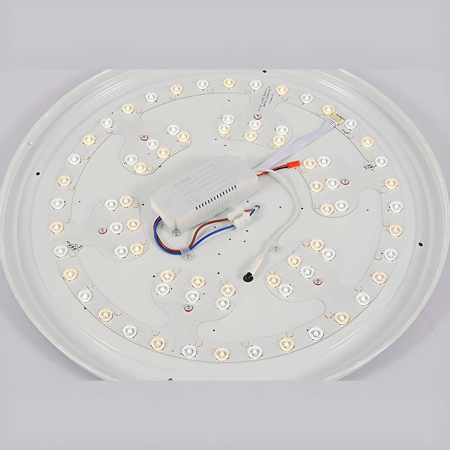 Imported image 8f698eebe0db 3100366.jpg