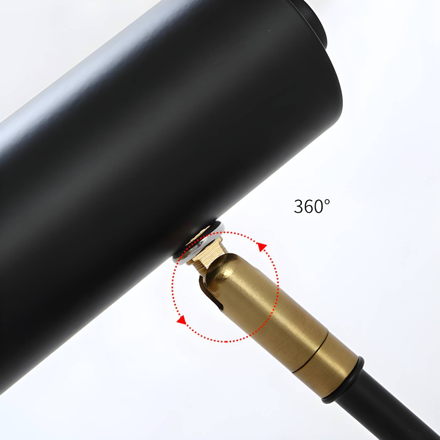 Imported image ec3d8da71147 3100385.jpg