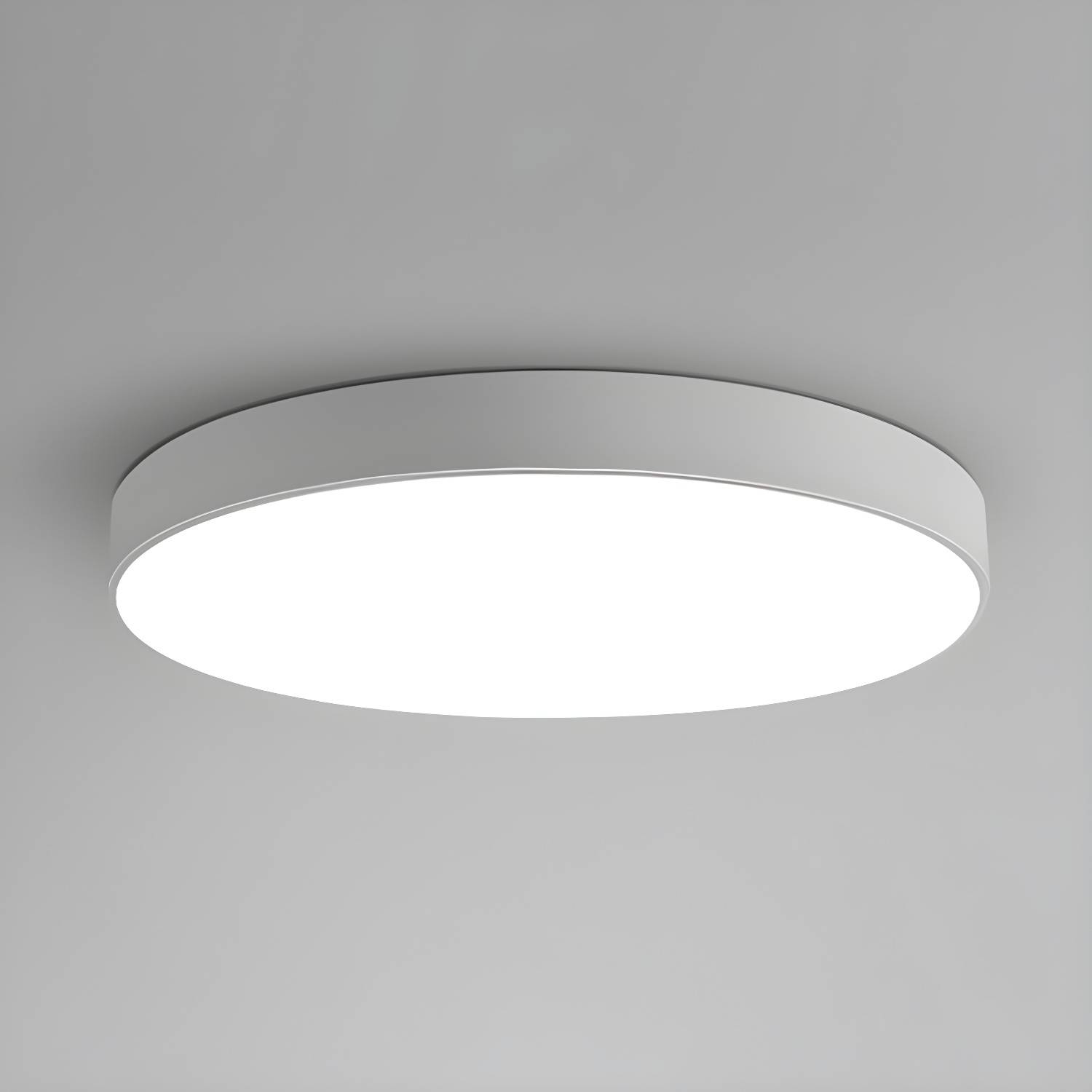 Imported image d5adeb5c782f 3101181.jpg