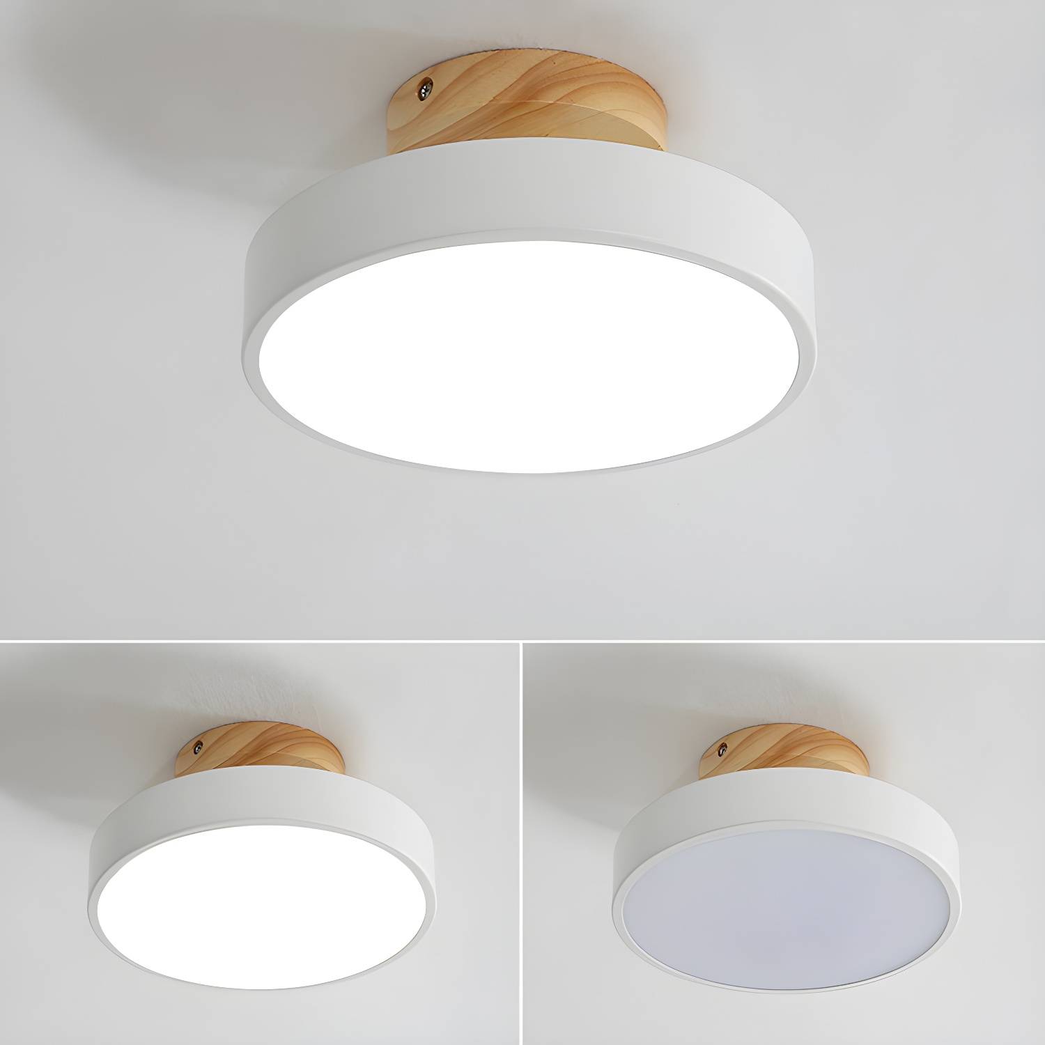 Imported image e0eecc92e93b 3101200.jpg