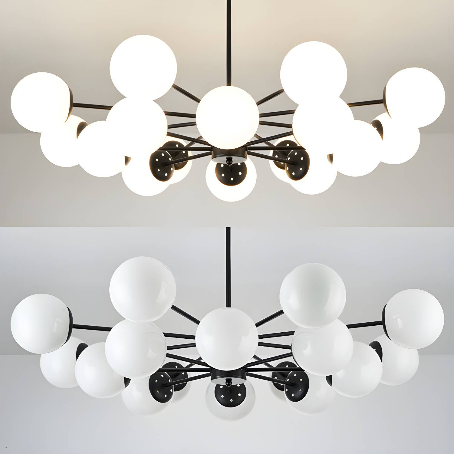 Imported image c106d7ac74ce 3101304.jpg