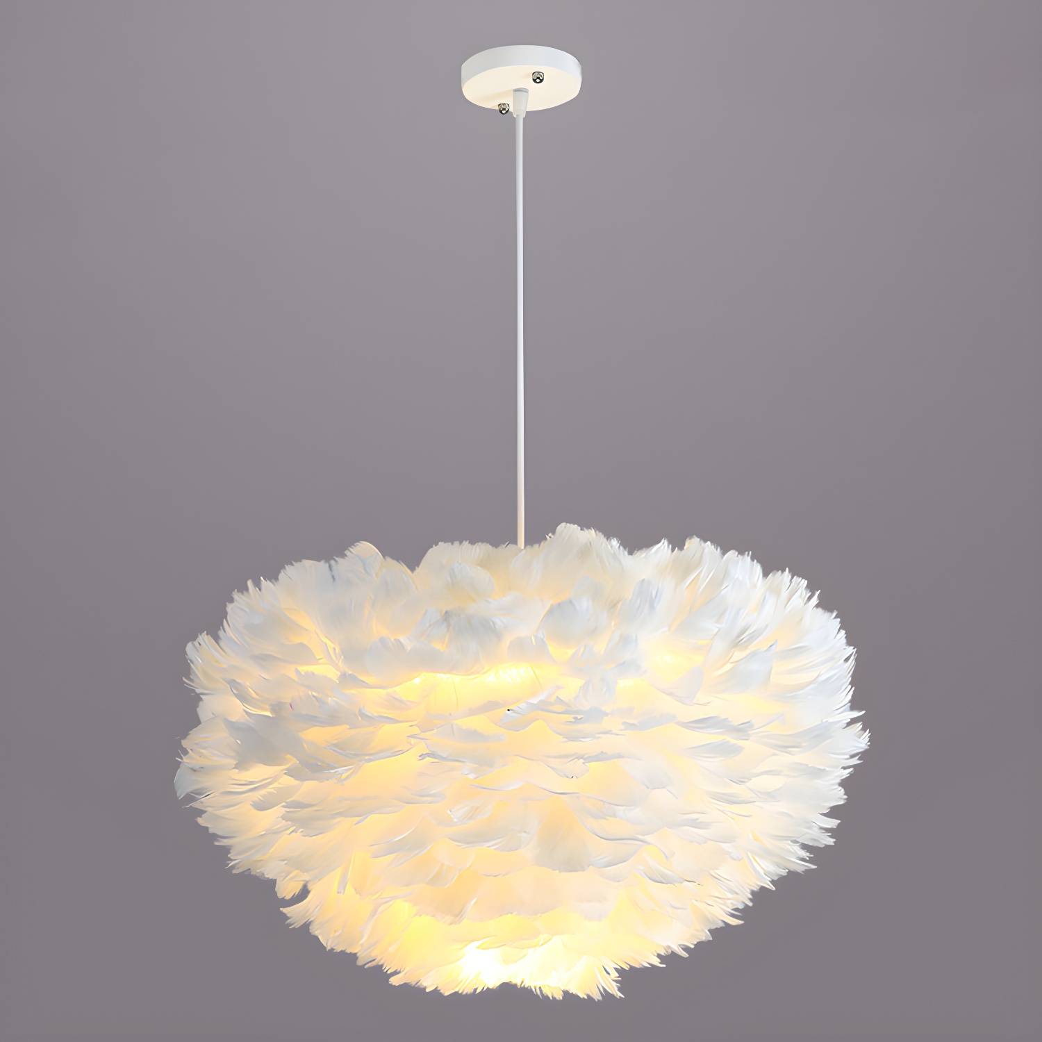 Imported image 5ae77e2bd90b 3101313.jpg