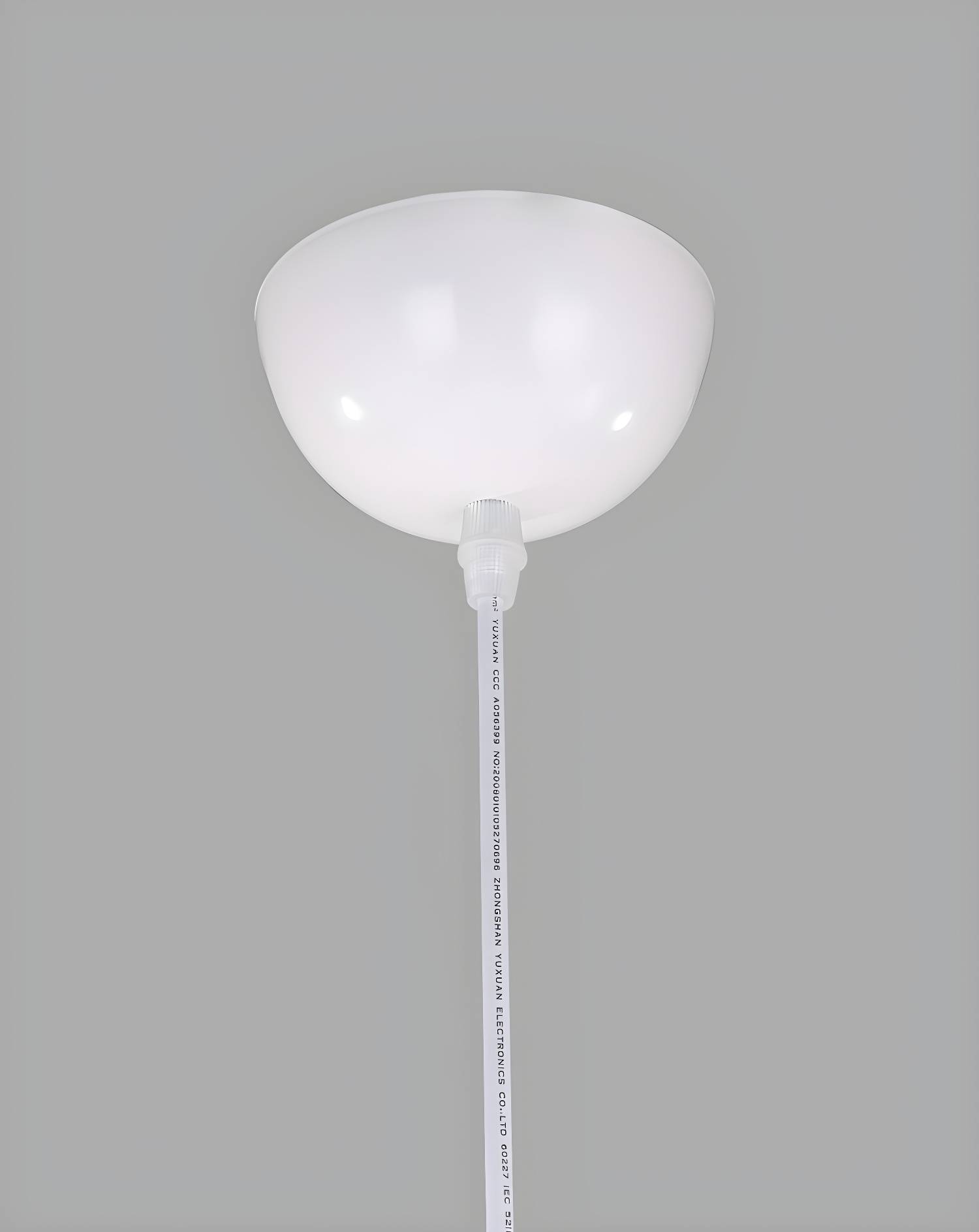 Imported image bce056691527 3101326.jpg