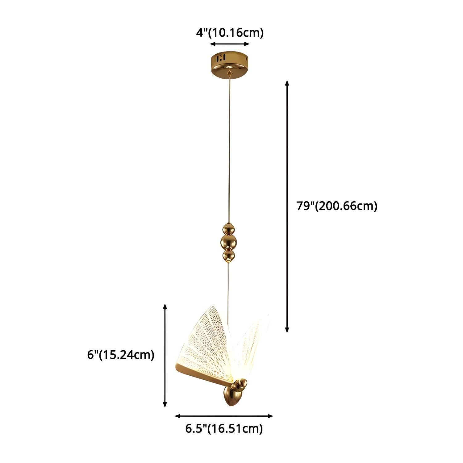 Imported image 338e4e5ae6c7 3101859.jpg