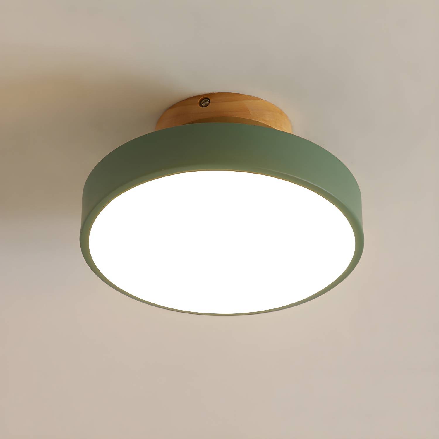 Imported image 71e4f5dd9b96 3107913.jpg
