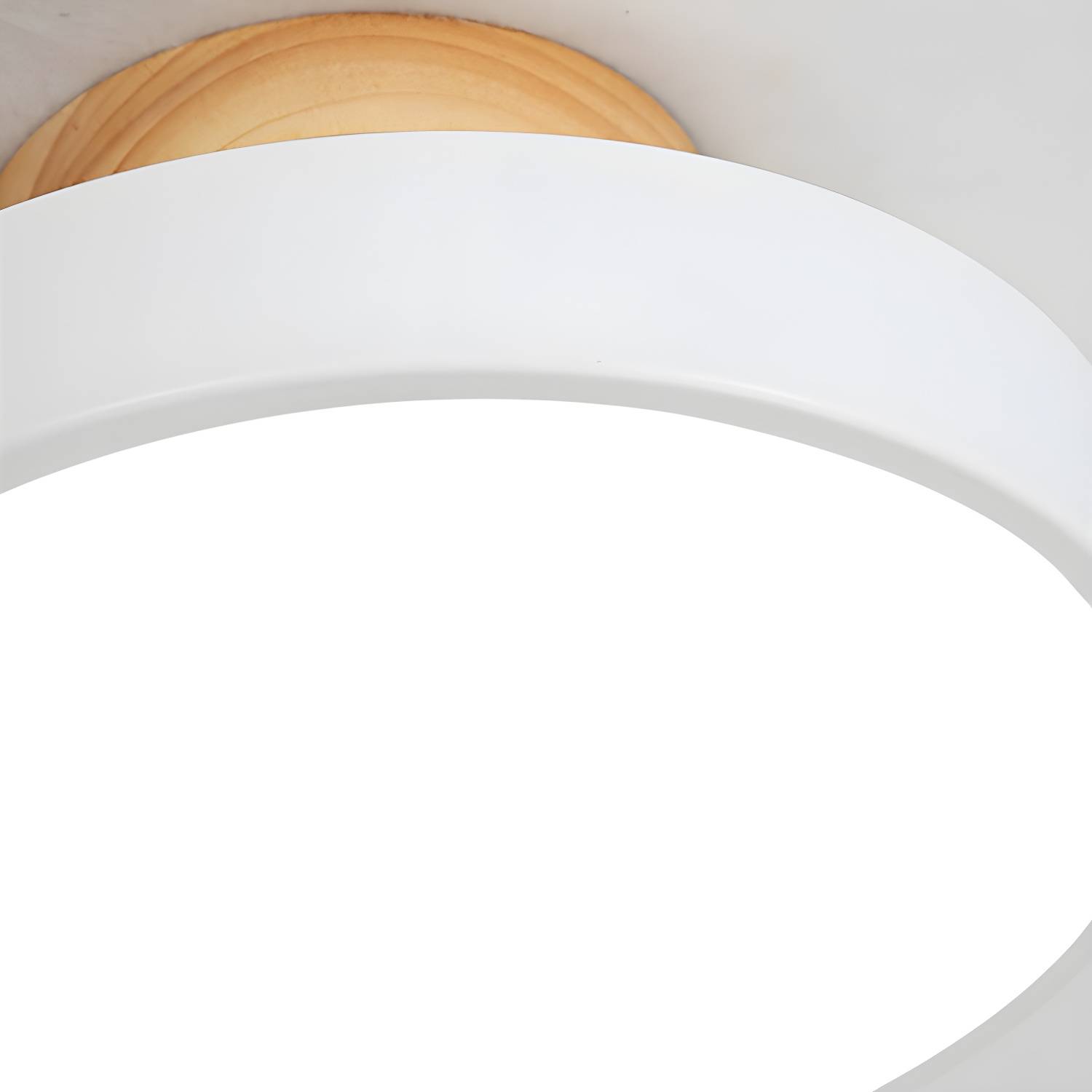 Imported image 670c9267890e 3107923.jpg
