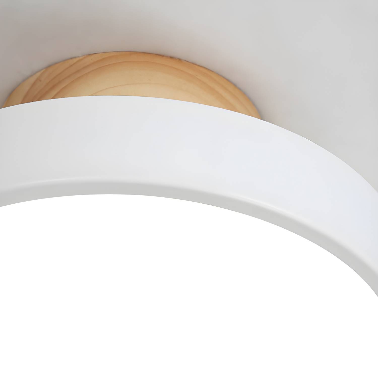 Imported image f6a50efa0425 3107925.jpg