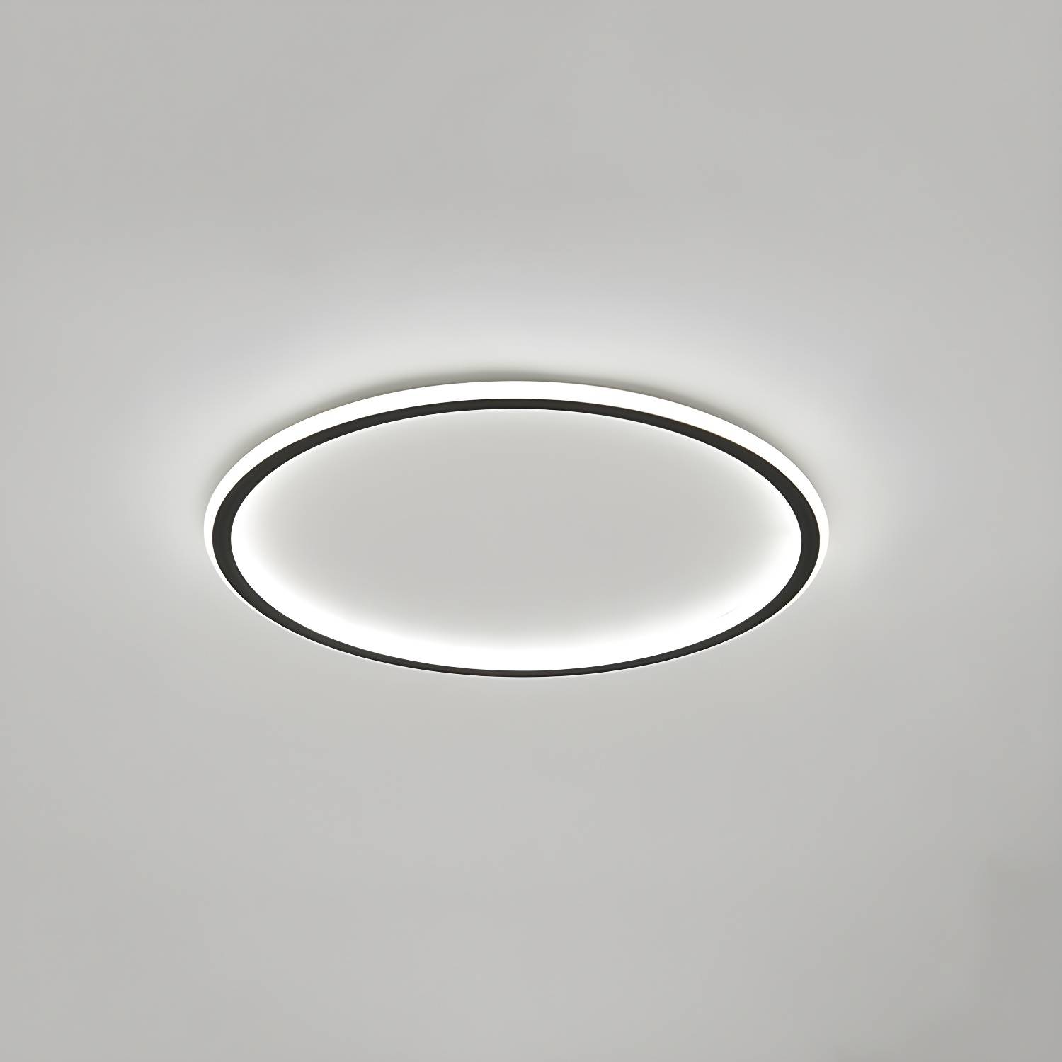 Imported image bb7ea8b75366 3107949.jpg